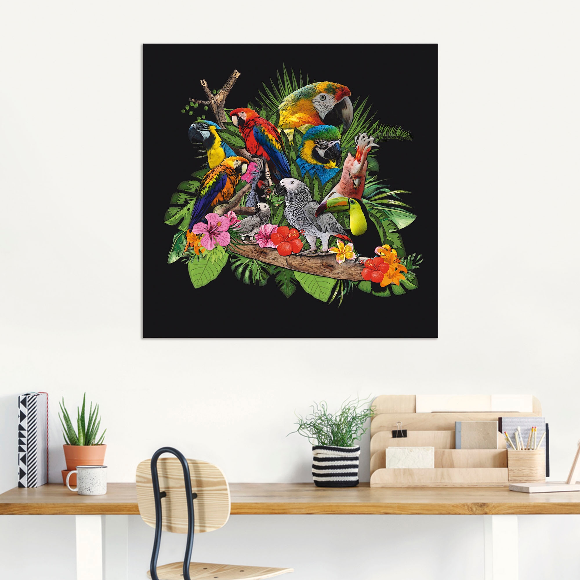 Artland Wandbild »Papageien Graupapagei Kakadu Dschungel«, Vögel, (1 St.), als Alubild, Outdoorbild, Leinwandbild, Poster, Wandaufkleber
