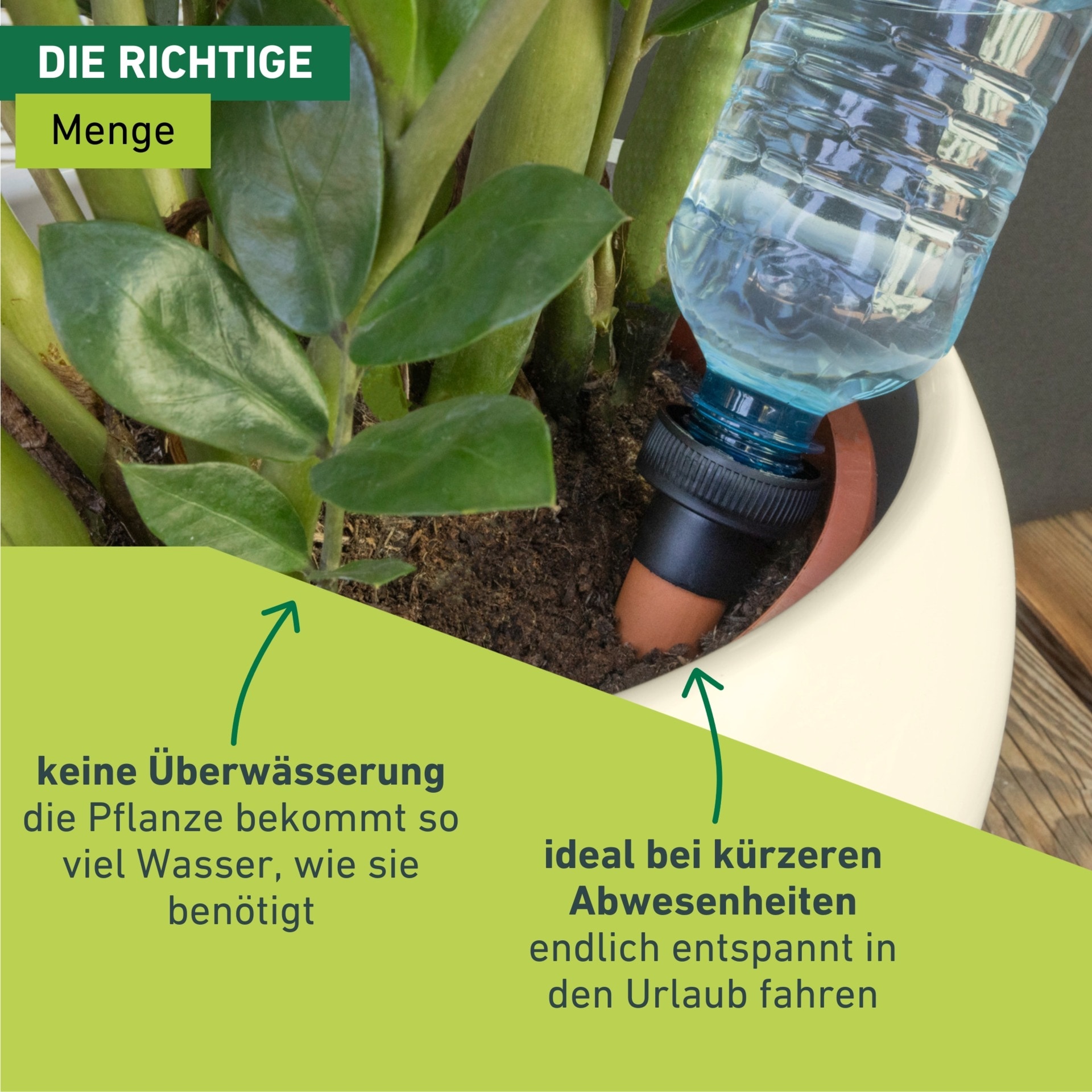 Windhager Bewässerungssystem »automatische Wasserspender Flaschen 3 Stk. für Zimmerpflanzen« (Packung, 3 Stk. tlg.)  Flaschenadapter Bewässerung, Abgabemenge ca. 200 ml/Tag, 4 x 11 cm
