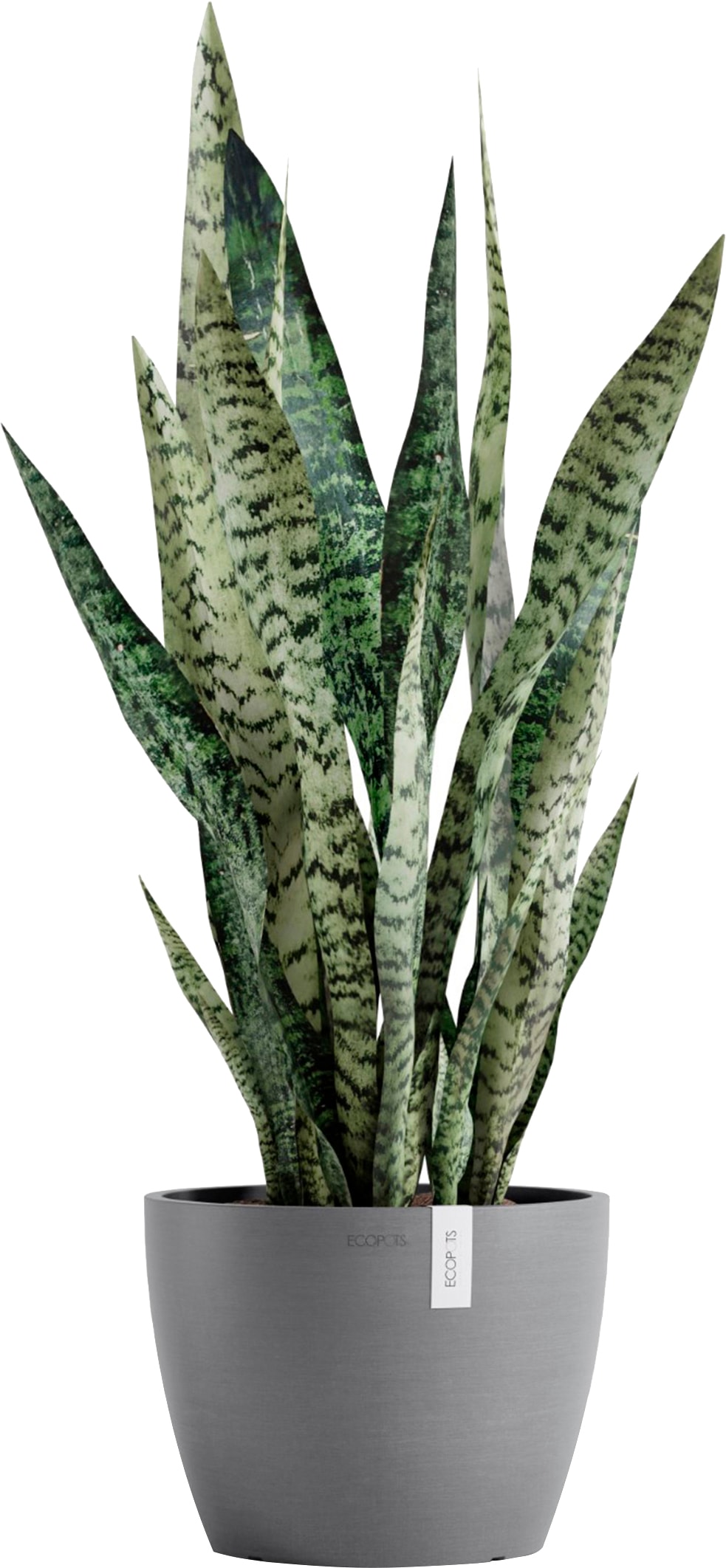 ECOPOTS Blumentopf »Stockholm 24 Grau«, für innen und außen: frostsicher, bruchsicher und lichtbeständig