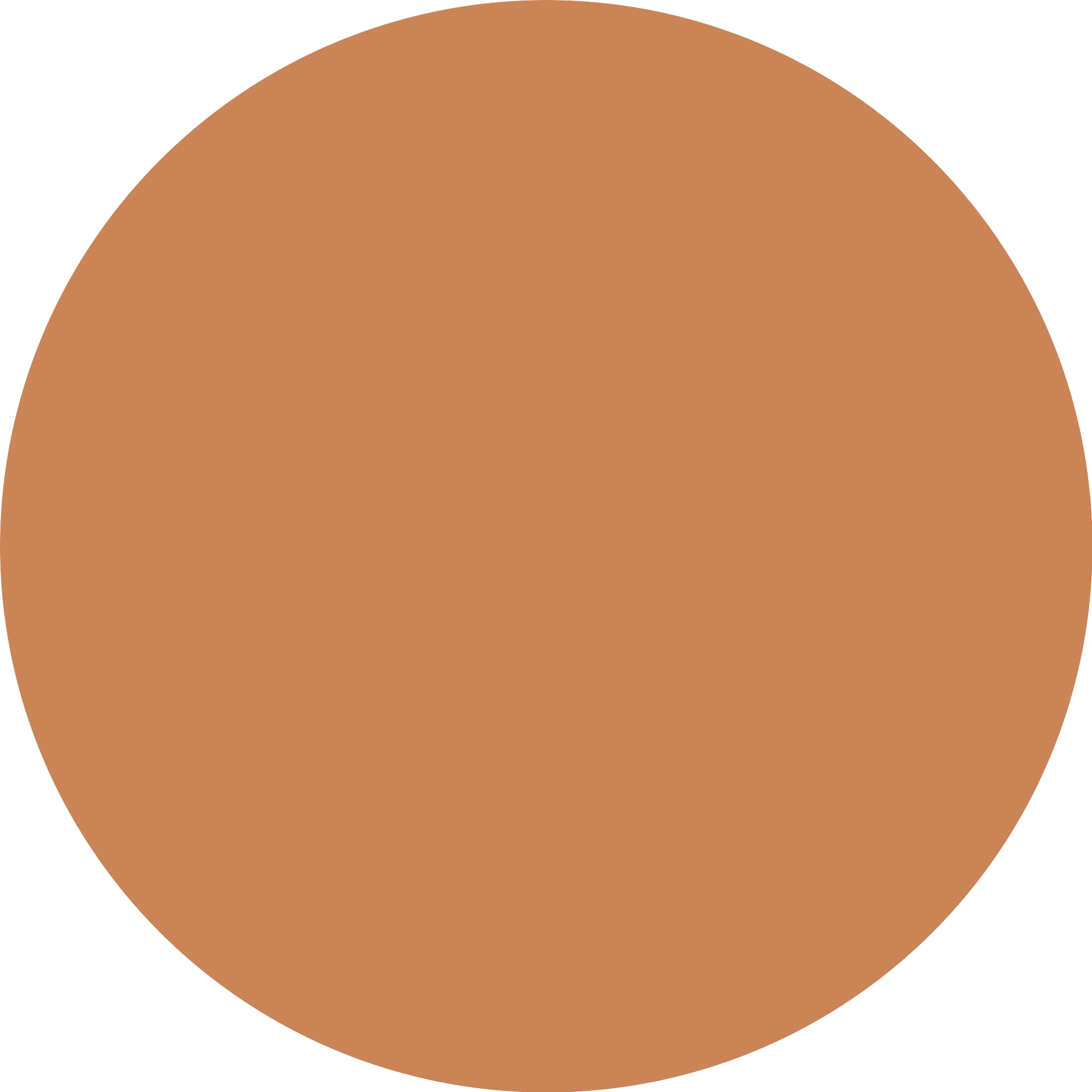 Essence Foundation »SKIN tint«, (3er Pack), mit veganen Inhaltsstoffen