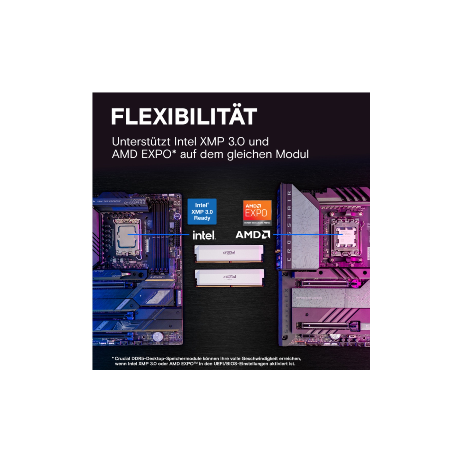 Crucial Arbeitsspeicher »CP2K16G60C36U5W«