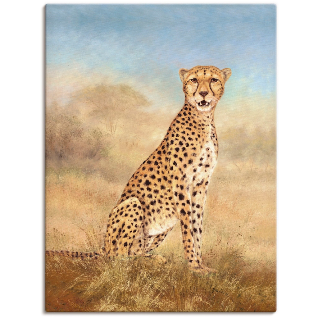 Artland Wandbild »Gepard Savanne«, Wildtiere, (1 St.)