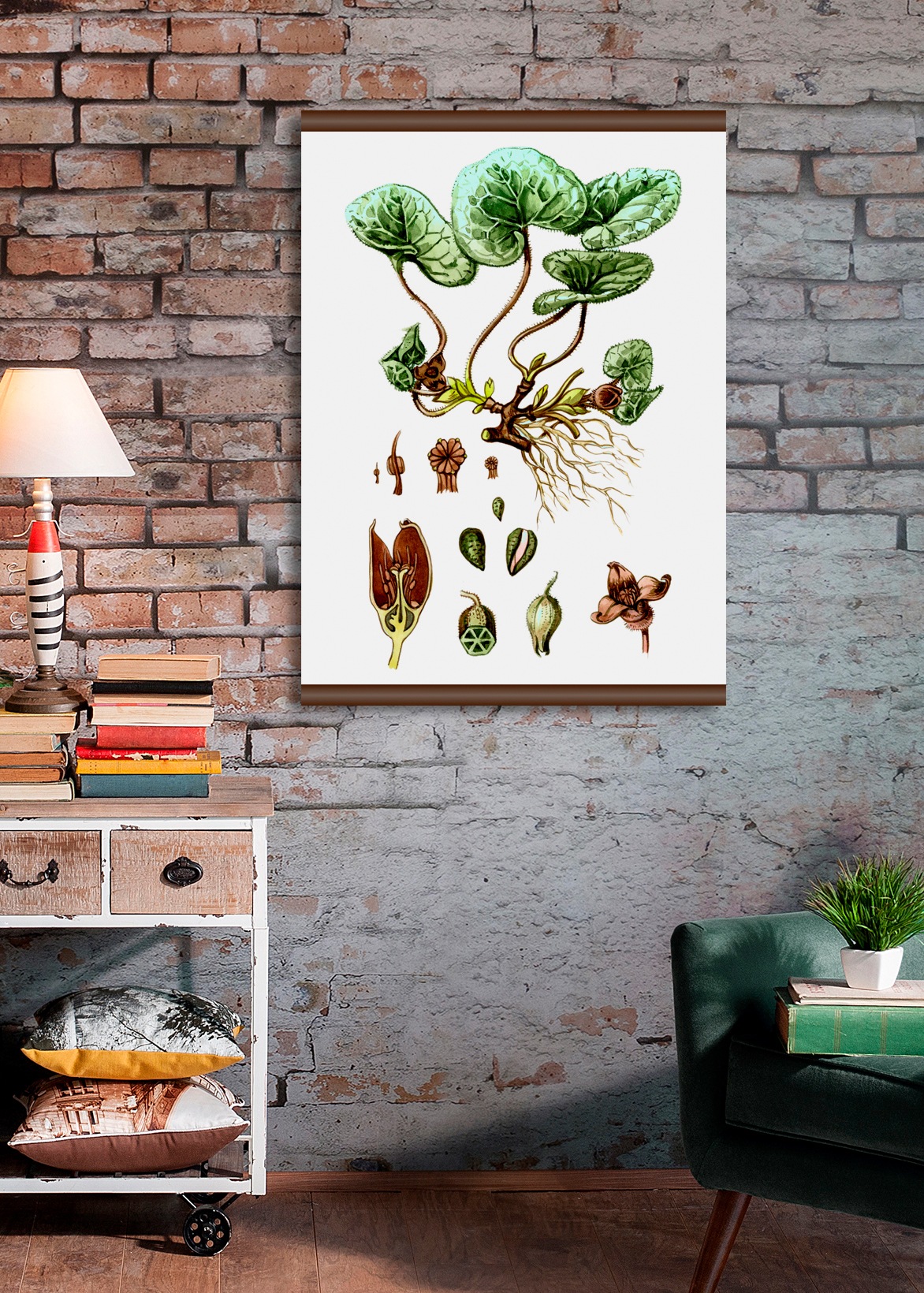 queence Leinwandbild »Pflanzen Anatomie«, 50x70 cm günstig online kaufen