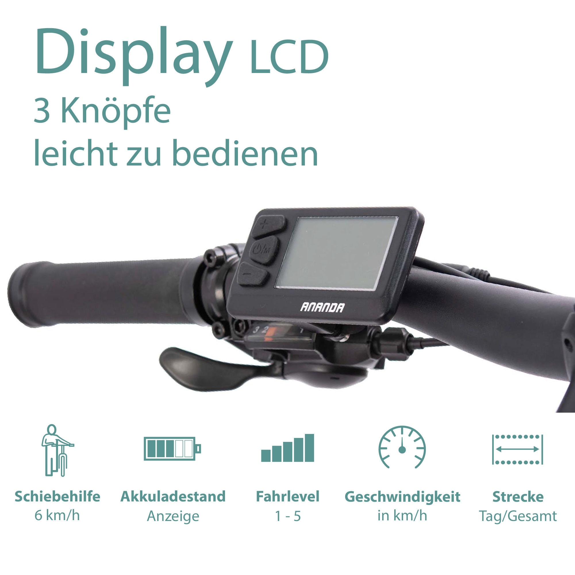 Tretwerk E-Bike »Bolt«, Shimano, Heckmotor 250 W, Pedelec, Elektrofahrrad für Damen u. Herren, MTB