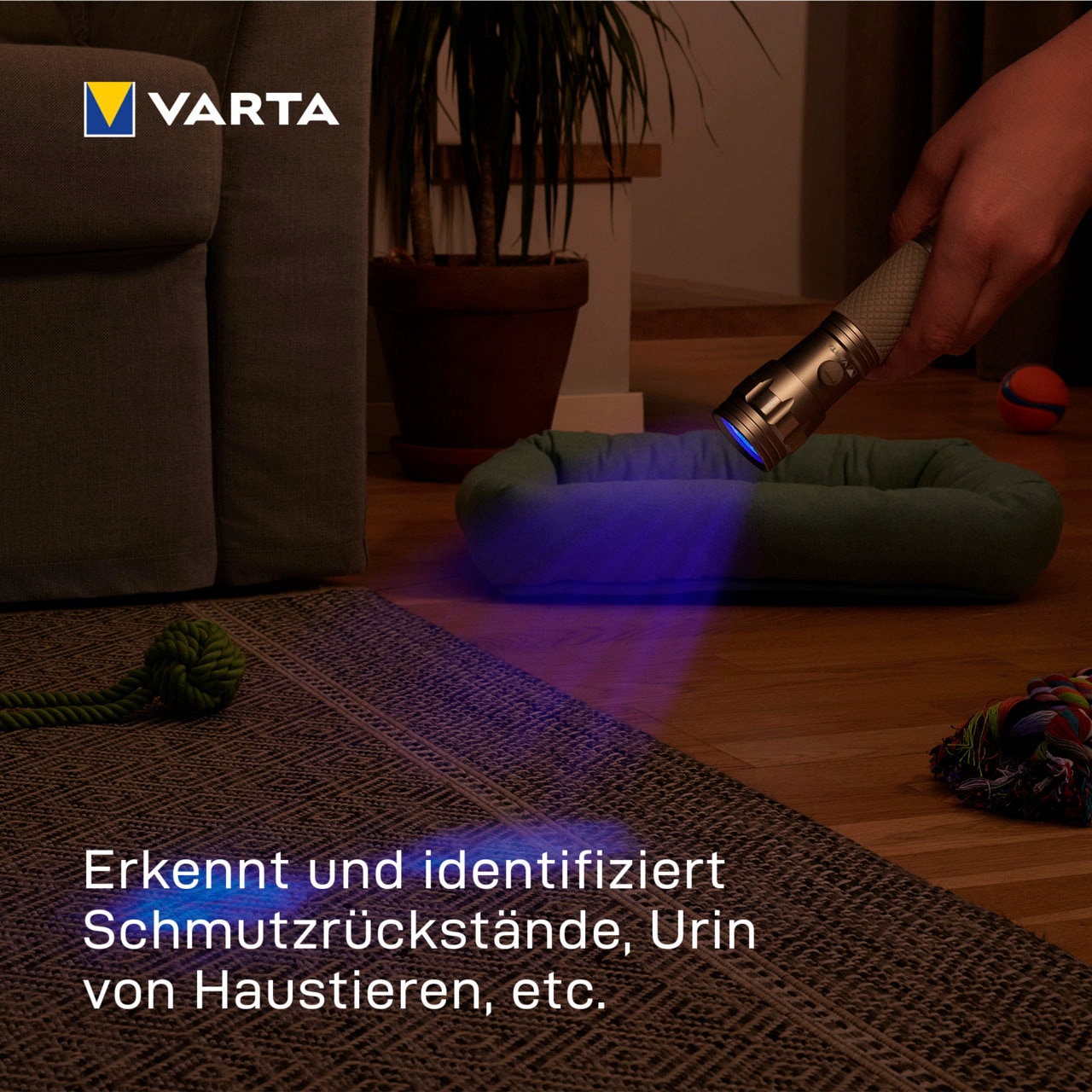 VARTA Taschenlampe »UV Licht« Set,  Leuchte macht Unsichtbares sichtbar Hygienehilfe mit Schwarzlicht