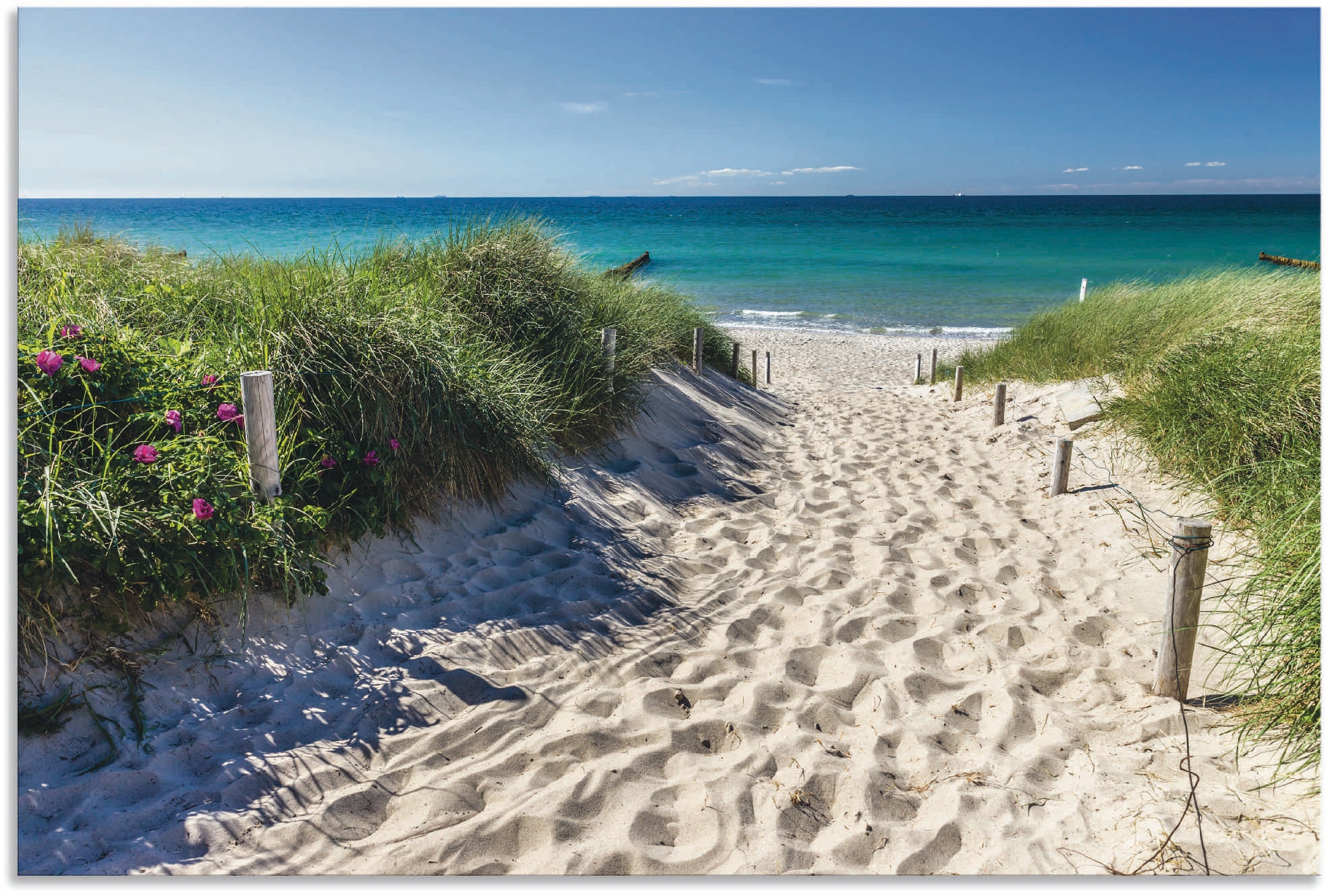 Artland Wandbild "Weg zum Strand an der Ostsee", Strandbilder, (1 St.), als günstig online kaufen