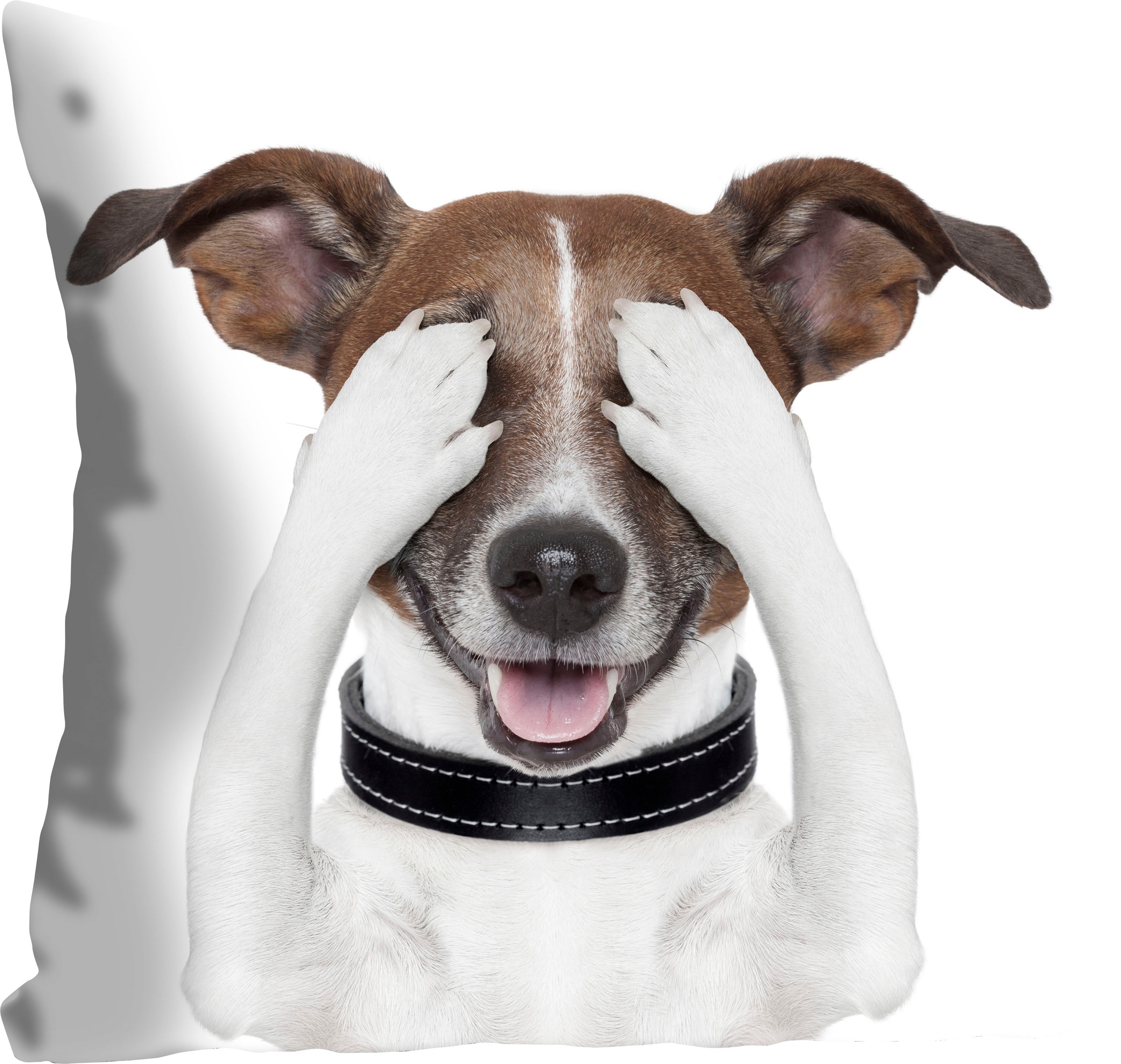 queence Dekokissen »Paul«, Kissenhülle,Hund,Augen zu,Weiß,Süß,Witzig,Lustig günstig online kaufen