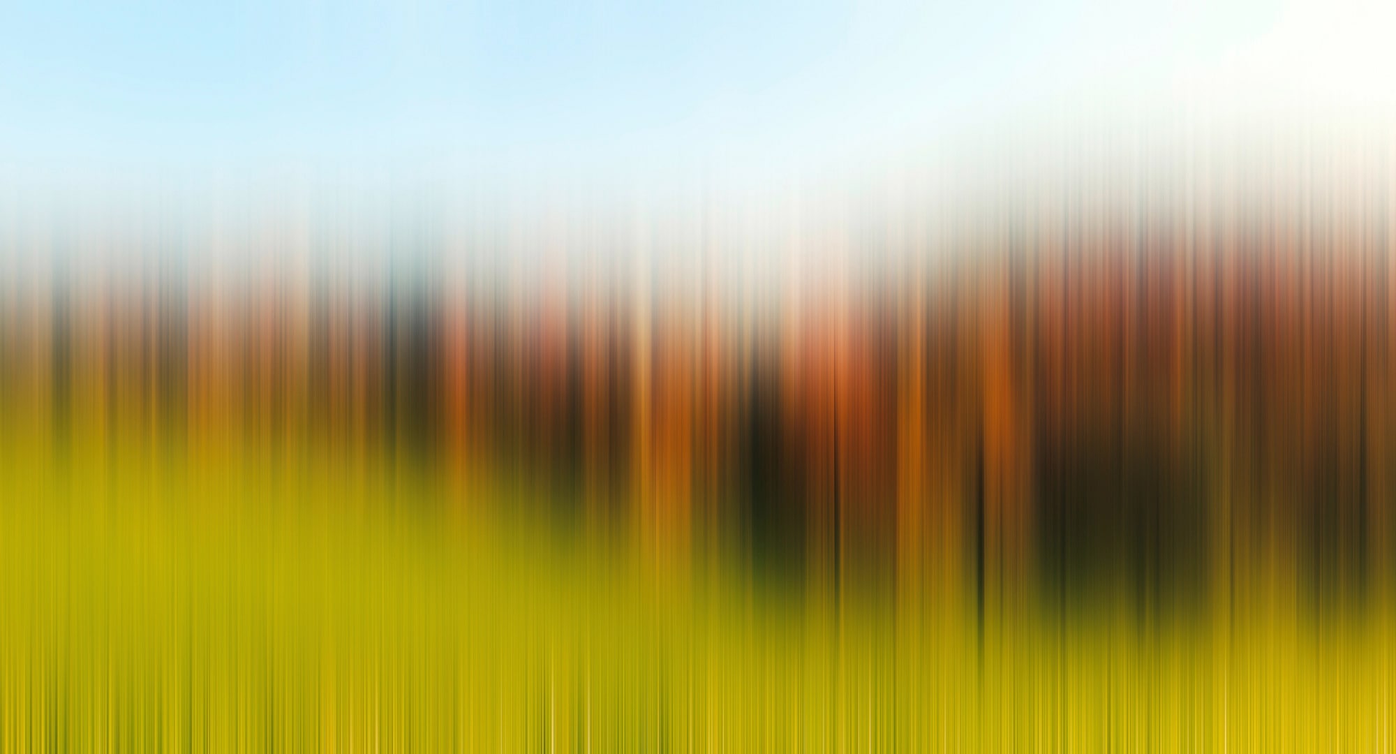Architects Paper Fototapete »Atelier 47 Diffused Tree Row 2« abstrakt glatt günstig online kaufen