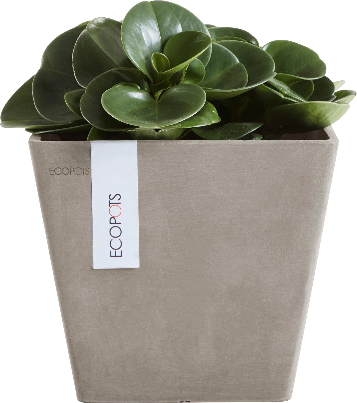 Blumentopf Taupe«, 20x20x17,5 online BxTxH: ECOPOTS kaufen cm »ROTTERDAM