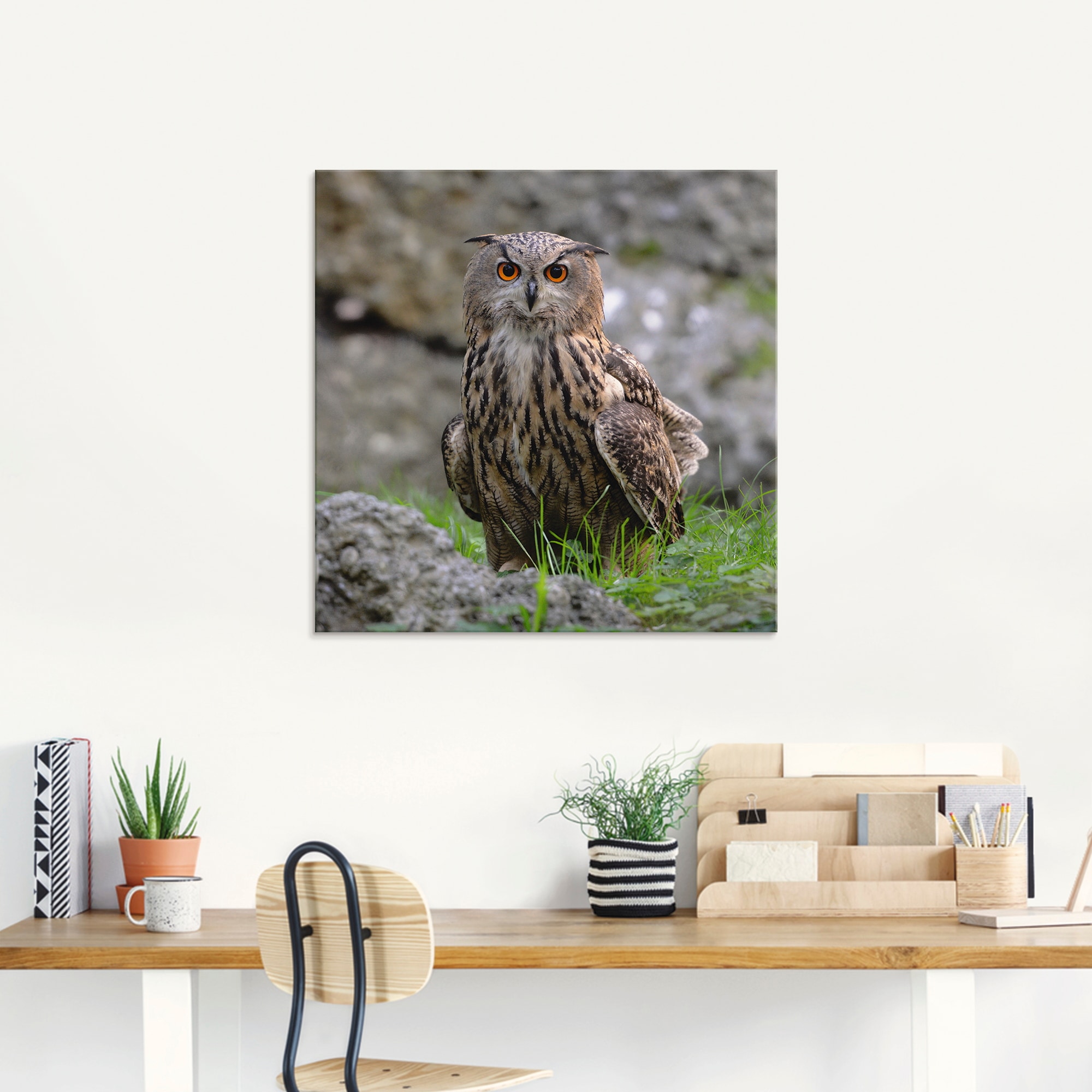 Artland Glasbild »Uhu« Vögel 1 Stk. tlg. in verschiedenen Größen