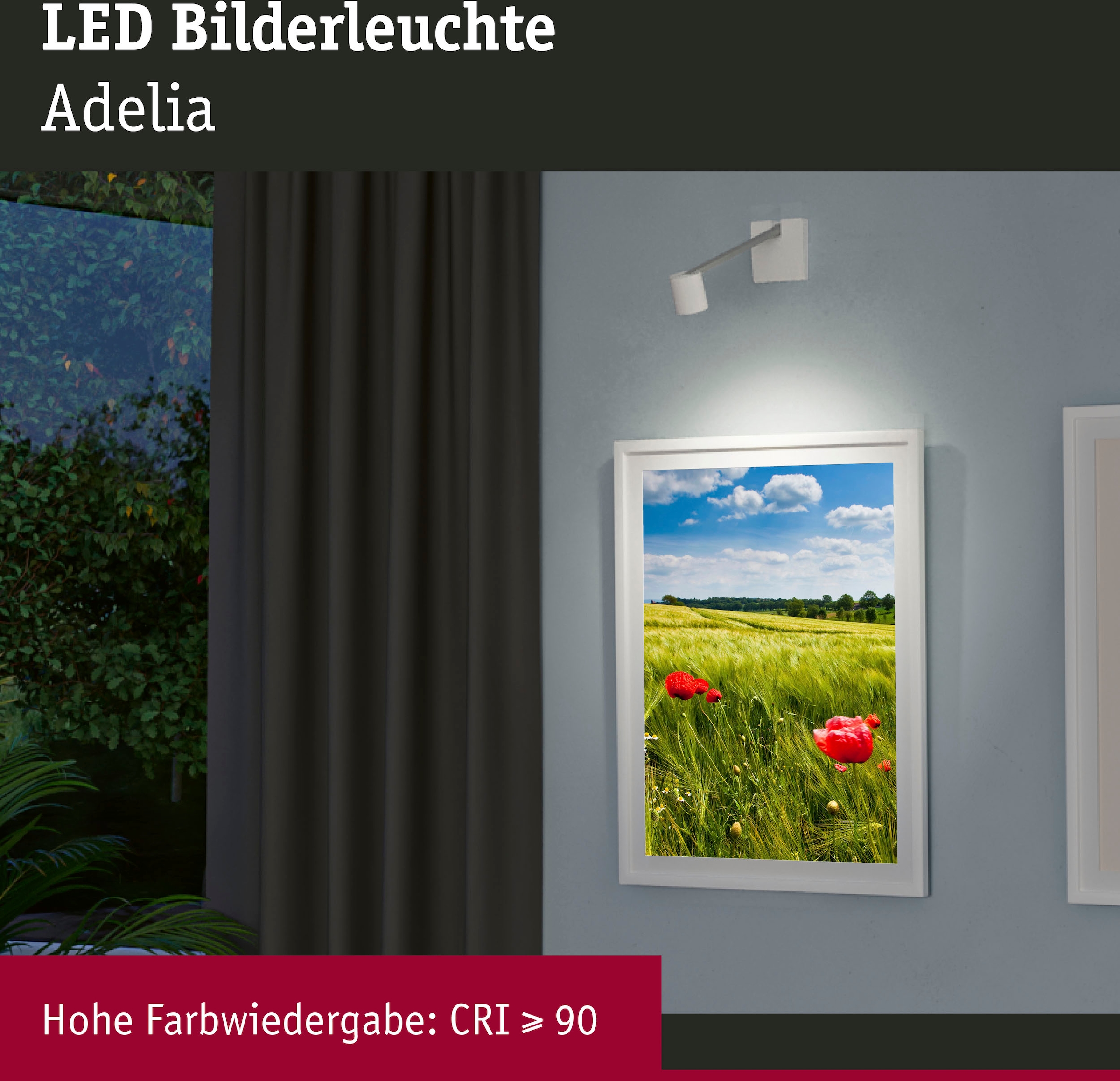 dimmbar flammig-flammig, LED 1 online »Adelia«, Bilderleuchte Paulmann kaufen