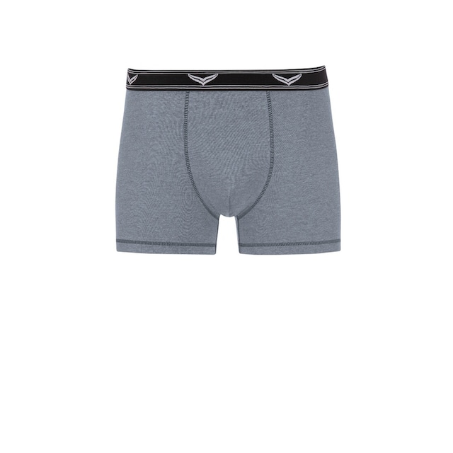 Trigema Boxer »TRIGEMA Bequeme Pants mit Webgummibund« bestellen