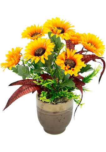 Gestecke »Sonnenblumen«, Im Topf aus Keramik