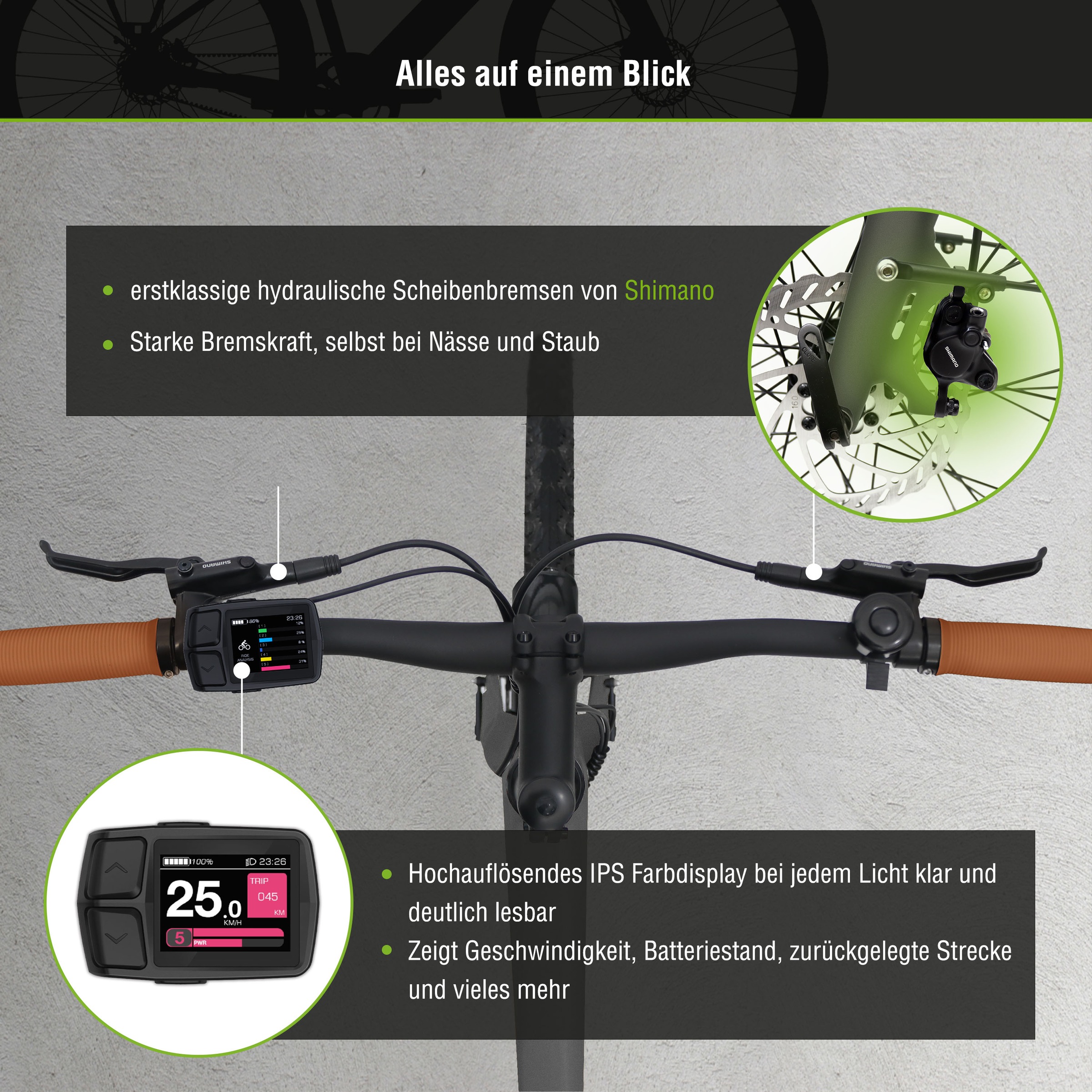 SachsenRad E-Bike »C3T«, 1 Gang, Shimano, Heckmotor 250 W