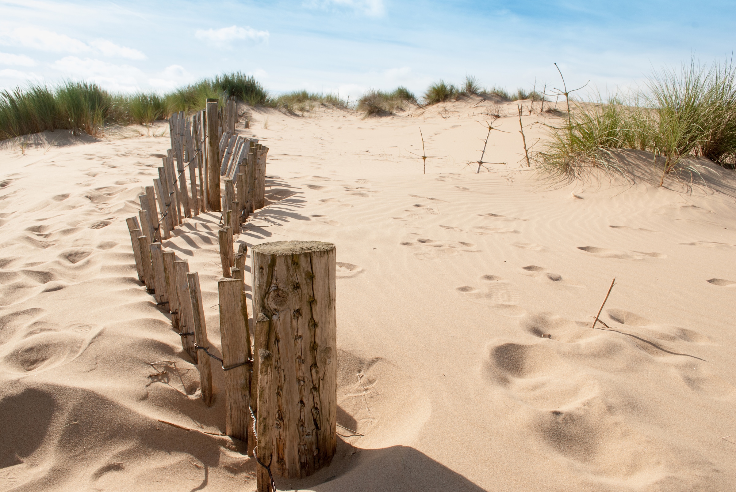 Papermoon Fototapete »Dunes Sandy Beach« glatt günstig online kaufen
