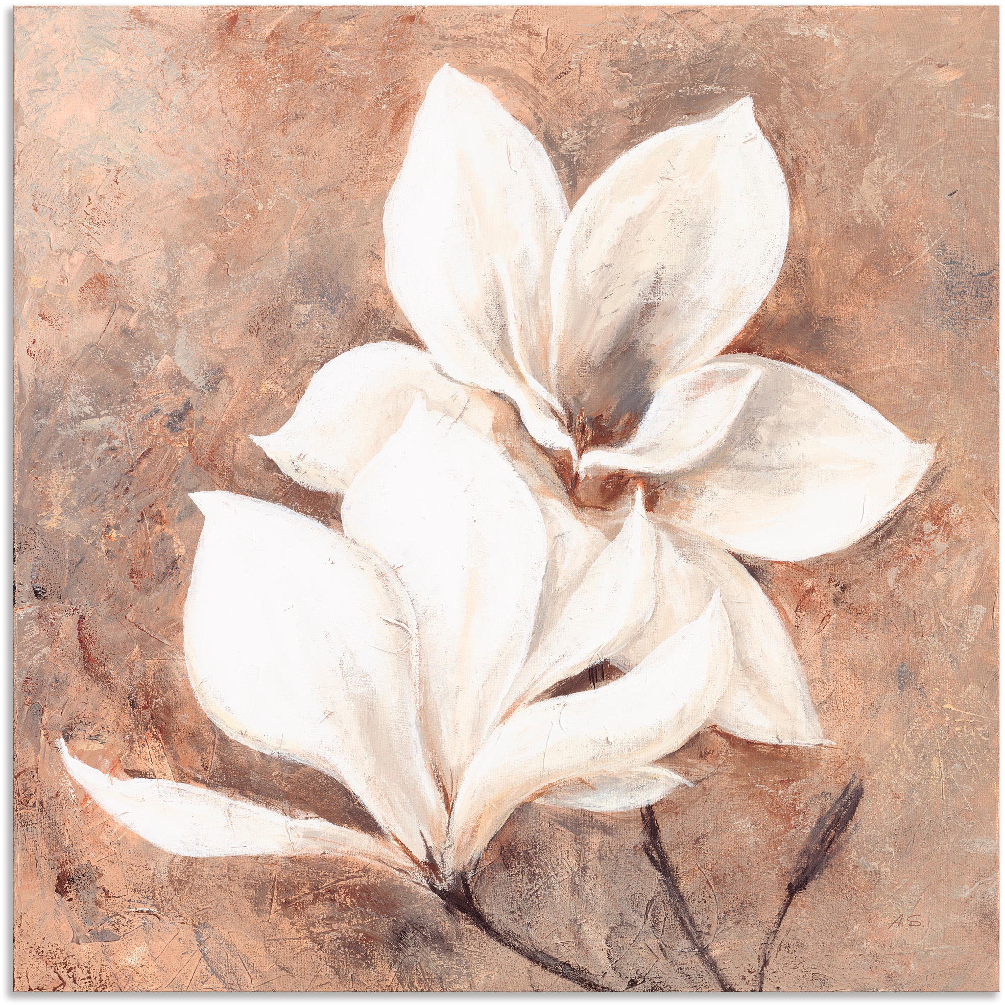 Artland Wandbild "Klassische Magnolien", Blumen, (1 St.), als Alubild, Outd günstig online kaufen