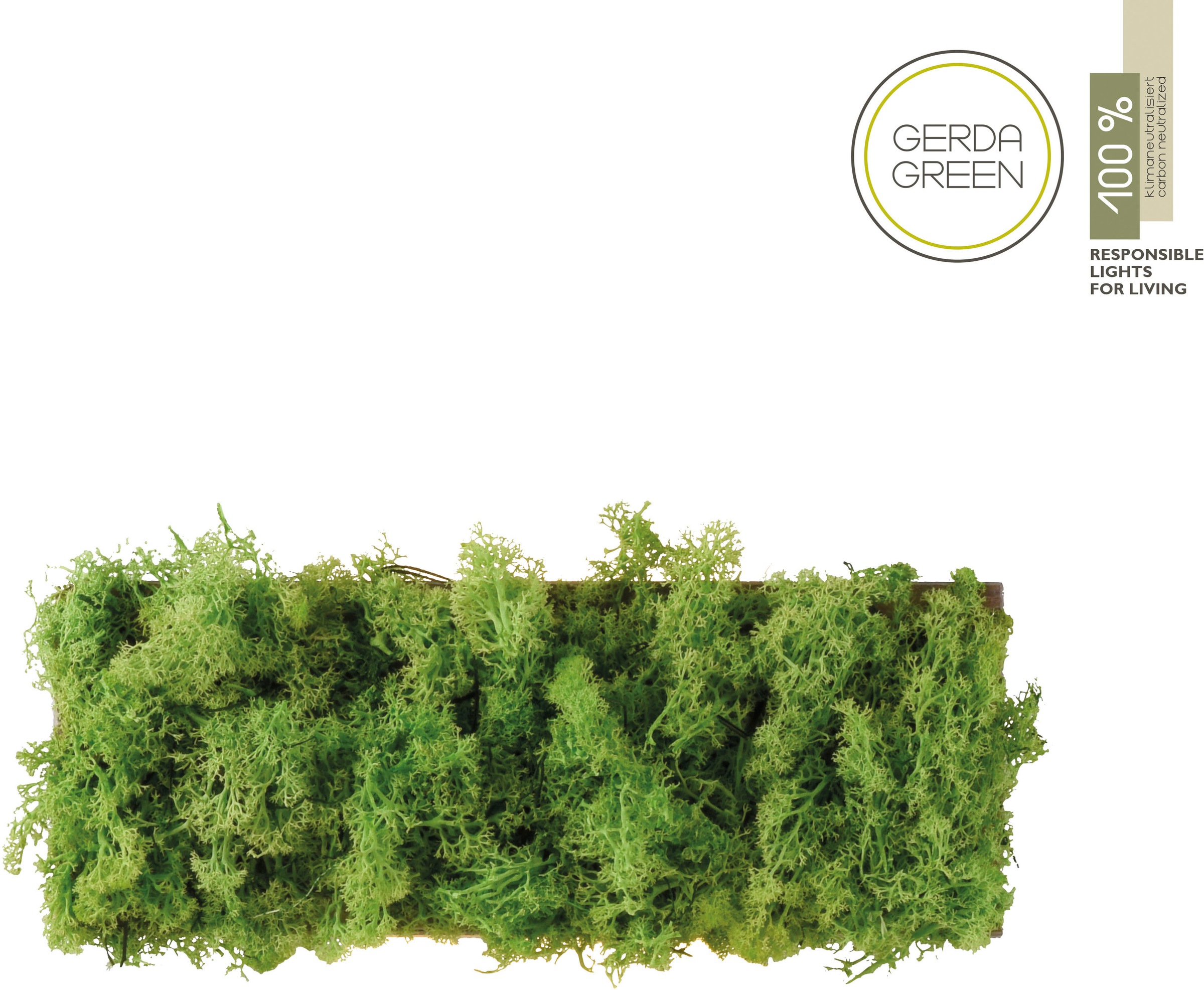 JUST LIGHT Wandleuchte »GREEN CARL«, 6 flammig günstig online kaufen
