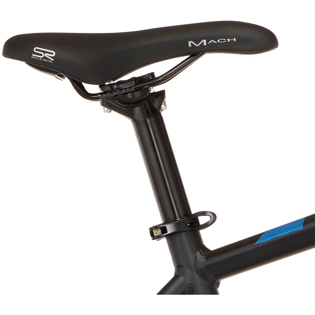 FISCHER Fahrrad E-Bike »MONTIS 2.1 418«, 9 Gang, Shimano, Altus, Heckmotor 250 W, (mit Akku-Schlüssel-Akku-Ladegerät-Beleuchtungsset-Schloss-Werkzeug)