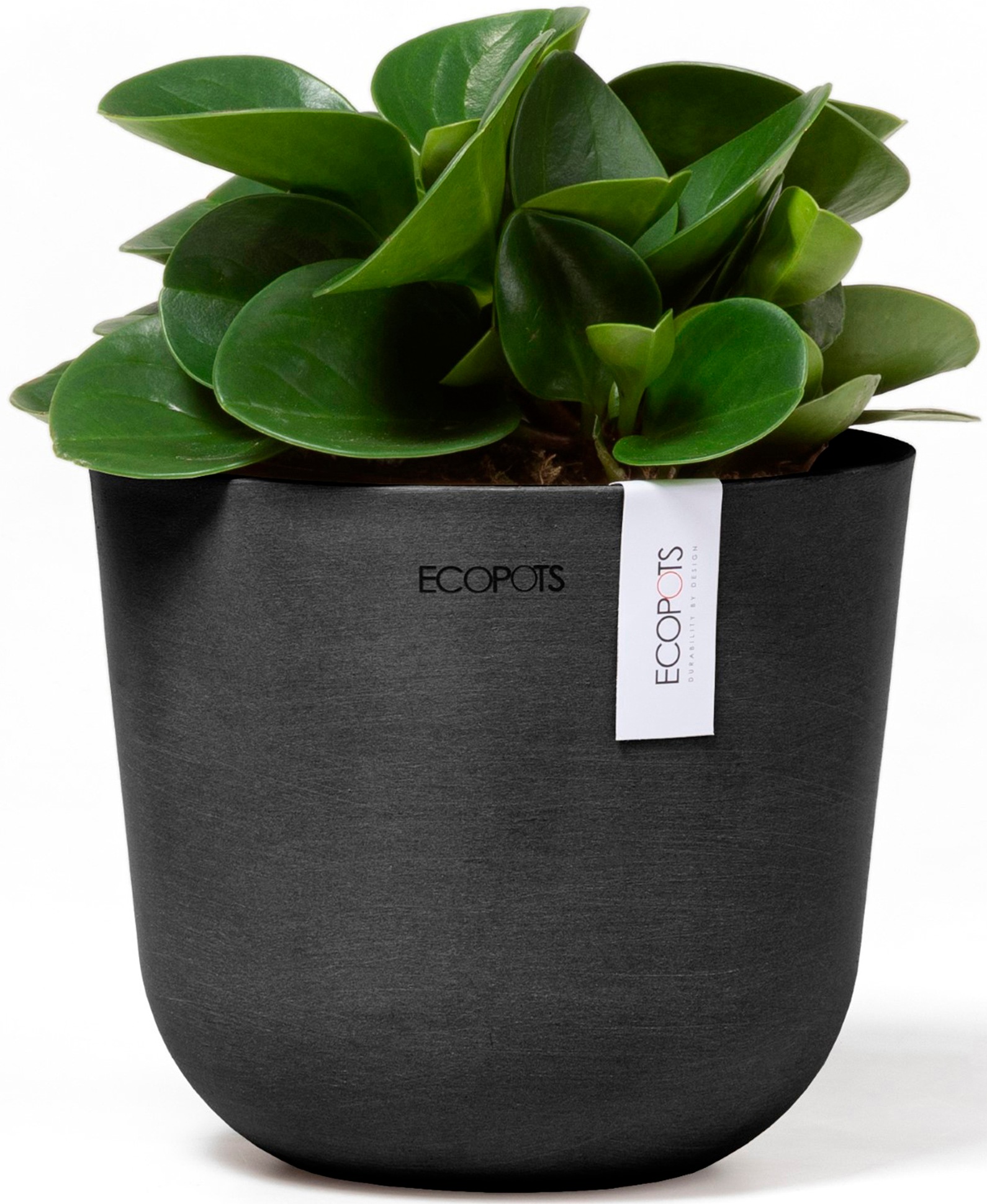 ECOPOTS Blumentopf »Oslo Mini 16 Dunkelgrau«, für den Innenbereich