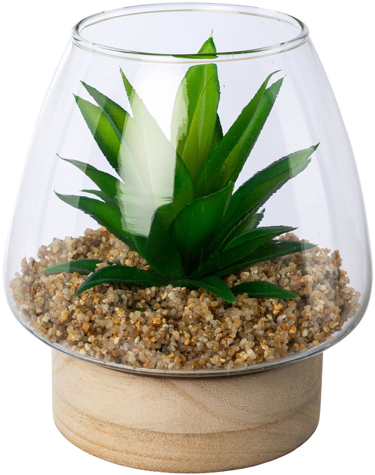 Creativ green Kunstpflanze »Sukkulenten im Glasgefäß« günstig online kaufen