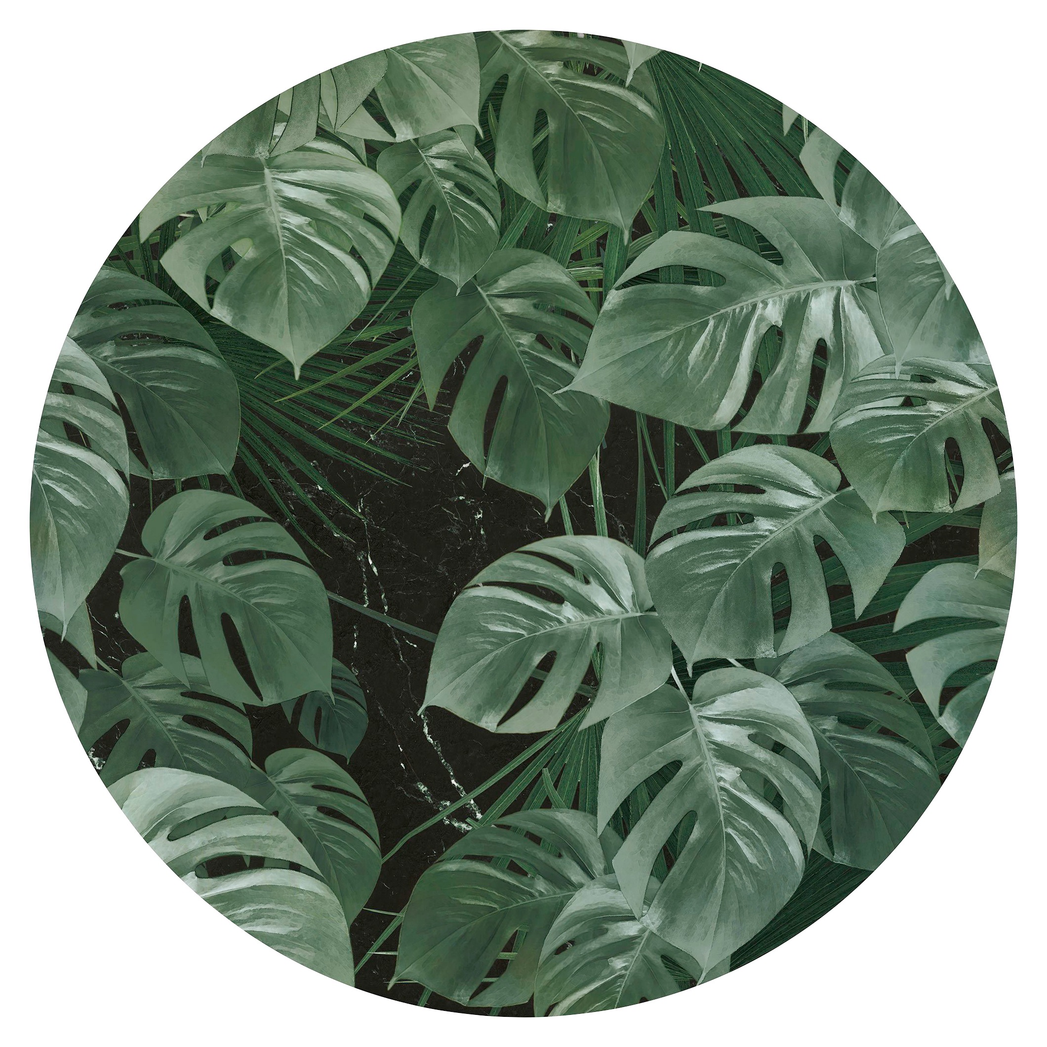 Komar Vliestapete »Vlies selbstklebend - Novel Monstera - Größe 125 x 125 cm«, bedruckt, Wohnzimmer, Schlafzimmer