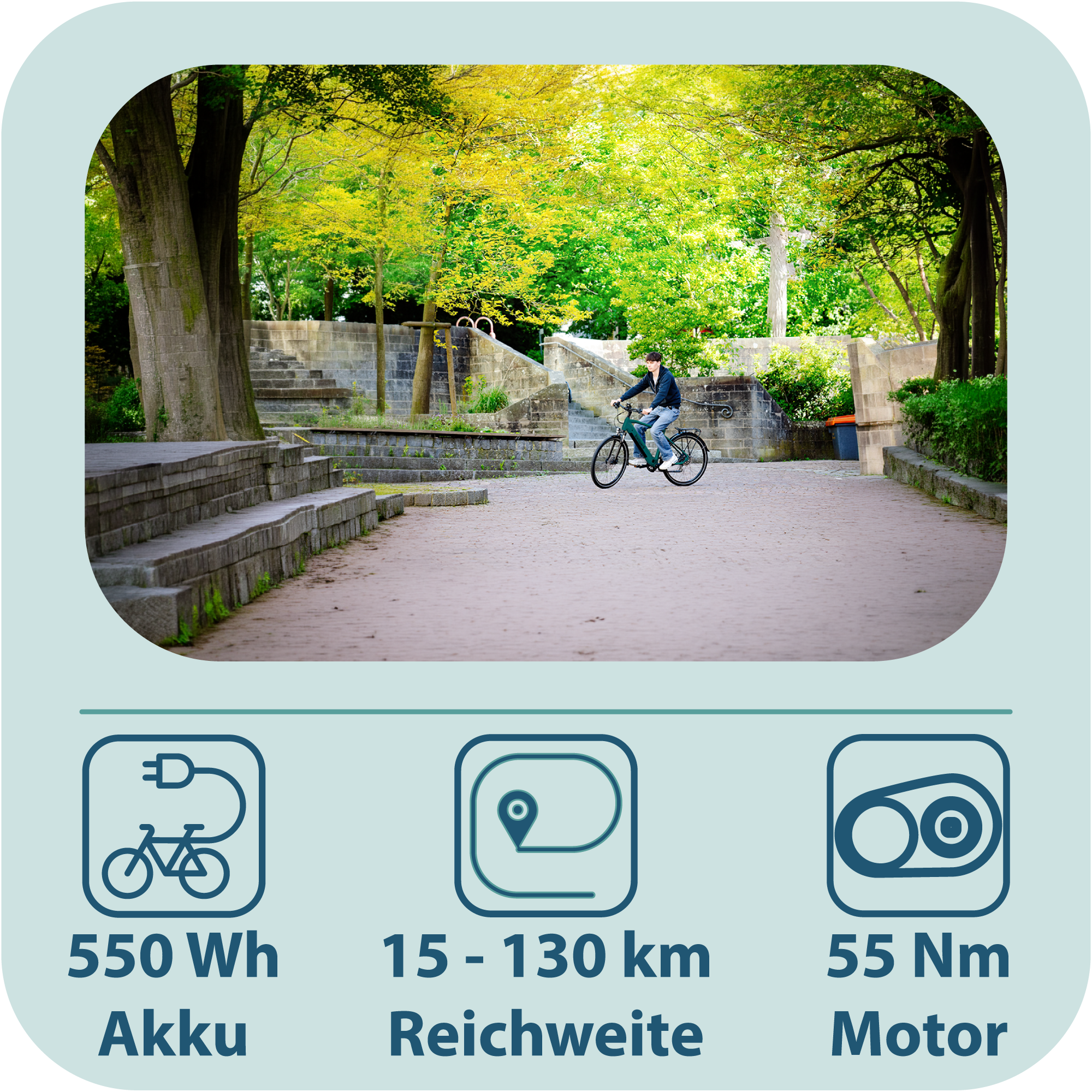 Tretwerk »Onyx« 8 Gang Shimano Altus M310 Schaltwerk Kettenschaltung Heckmotor 250 W
