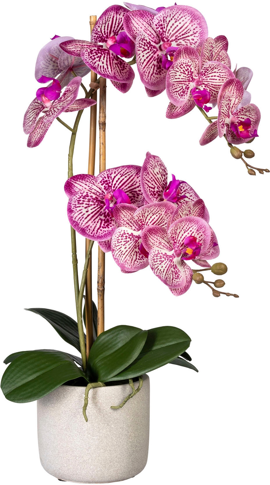 günstig Kunst-Orchideen kaufen
