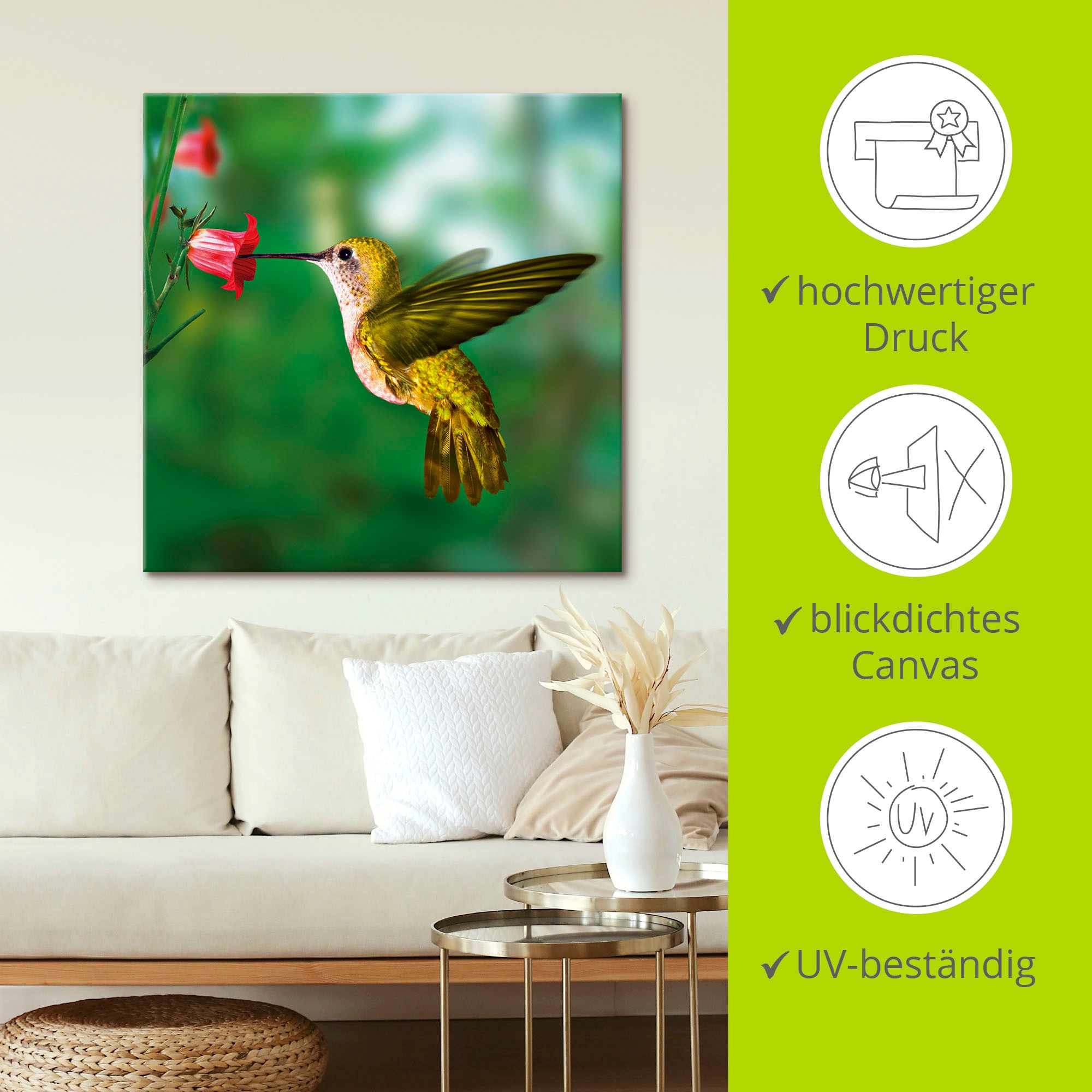 Artland Wandbild »Kolibri«, Vögel, (1 St.), als Alubild, Outdoorbild, Leinwandbild, Poster in verschied. Größen