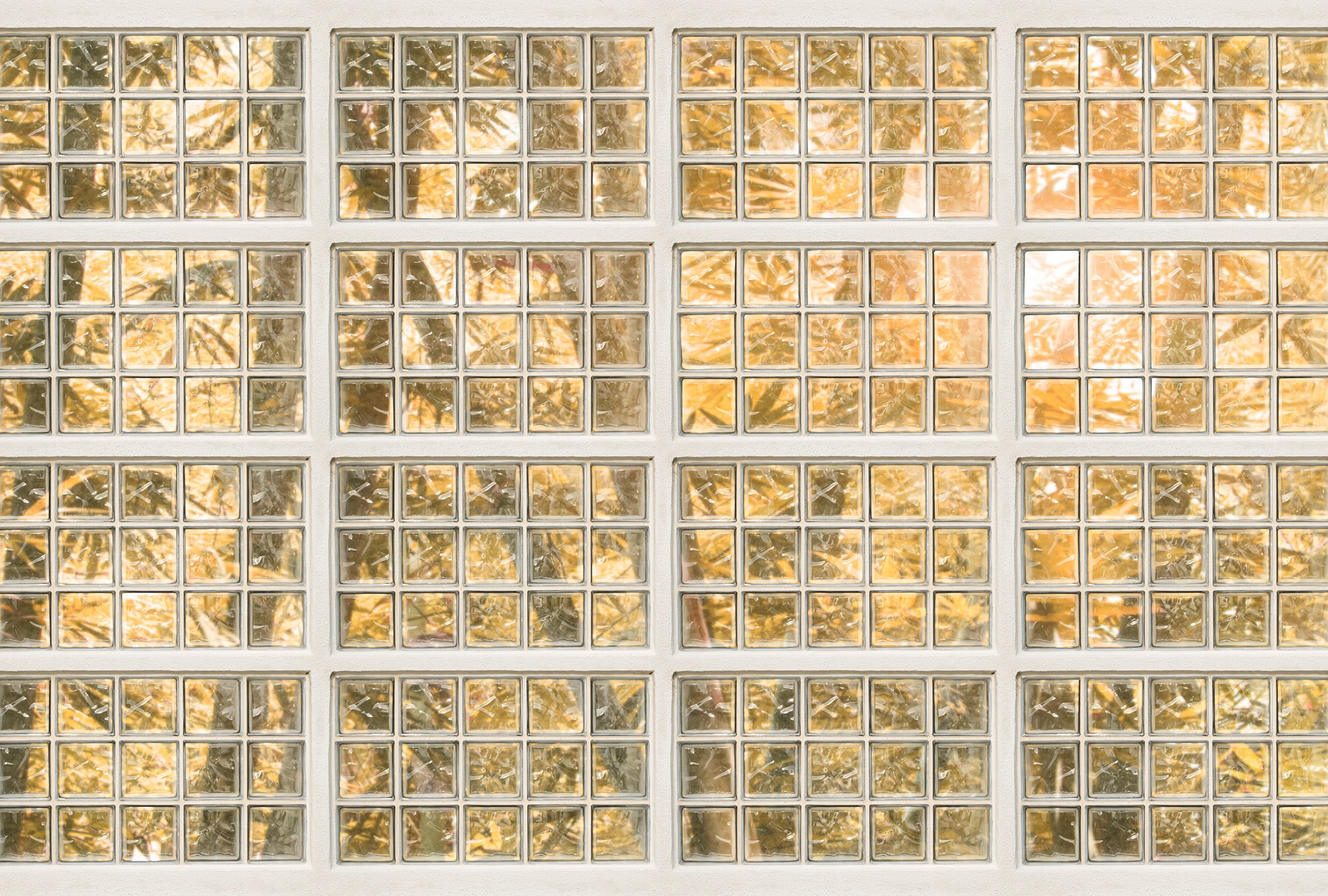 Architects Paper Fototapete »Atelier 47 Brick of Glass 1« botanisch glatt V günstig online kaufen