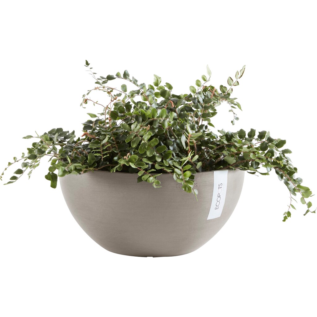 ECOPOTS Blumentopf »BRUSSELS Taupe«