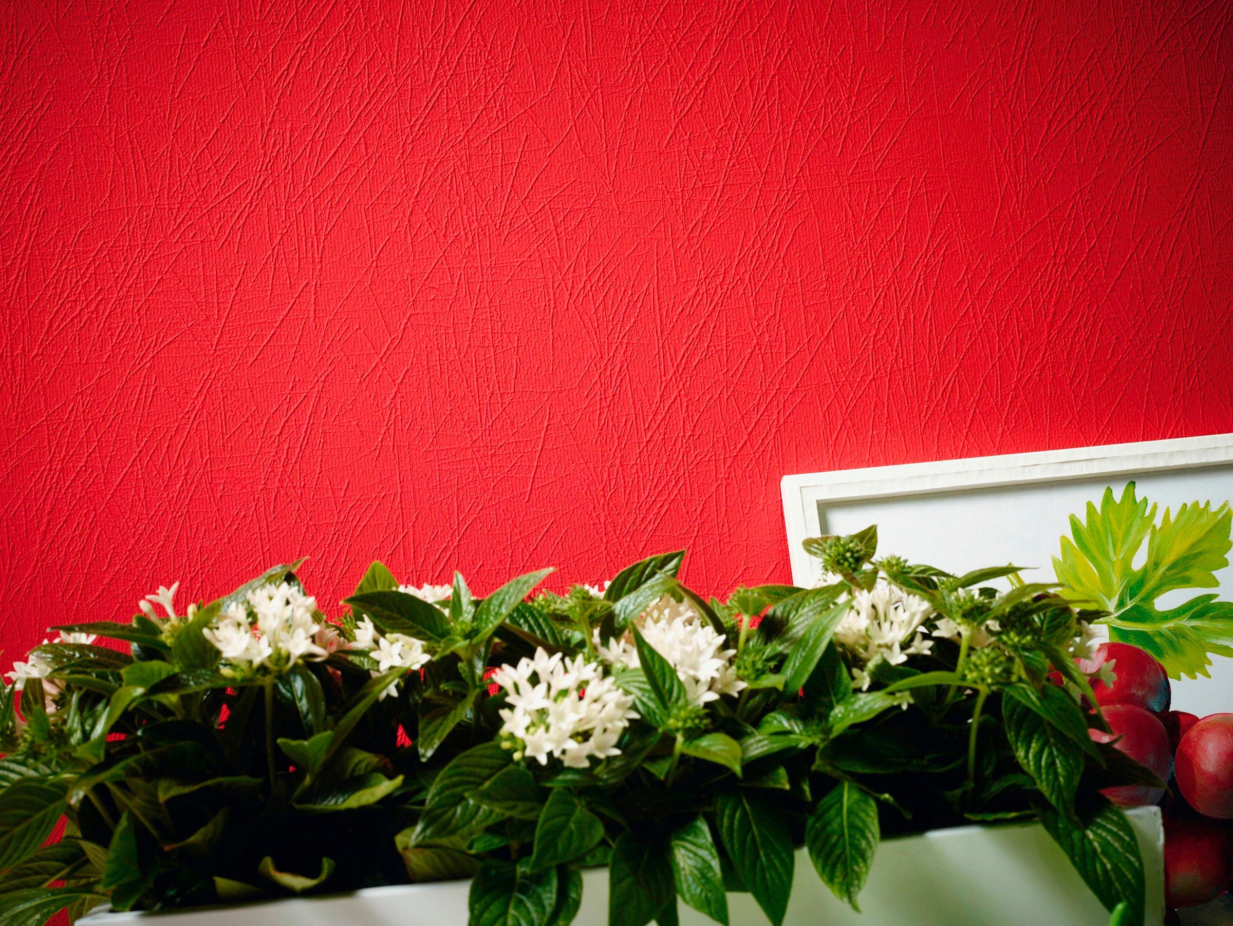 A.S. Création Vliestapete »Meistervlies« einfarbig | uni | unifarben leicht strukturiert Tapete einfarbig Überstreichbar matt leicht strukturiert Tapeten Optik