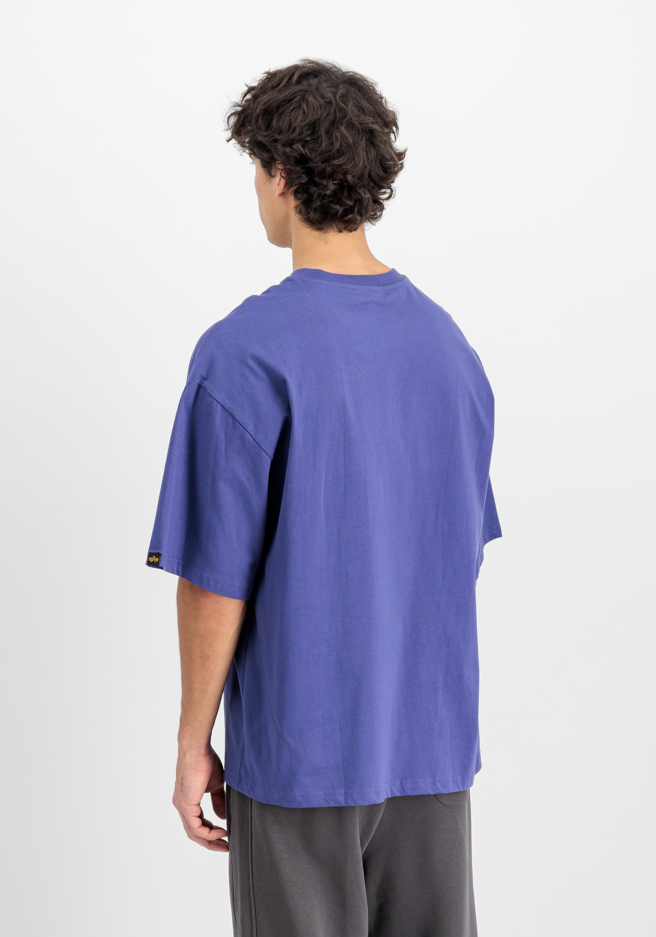 Alpha Industries T-Shirt »Alpha Industries Men - T-Shirts Studio Edition T-Shirt«