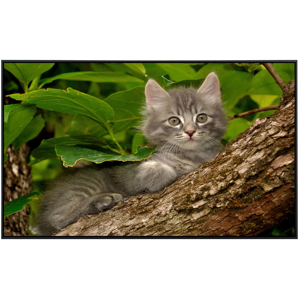 Papermoon Infrarotheizung »Katze im Baum«