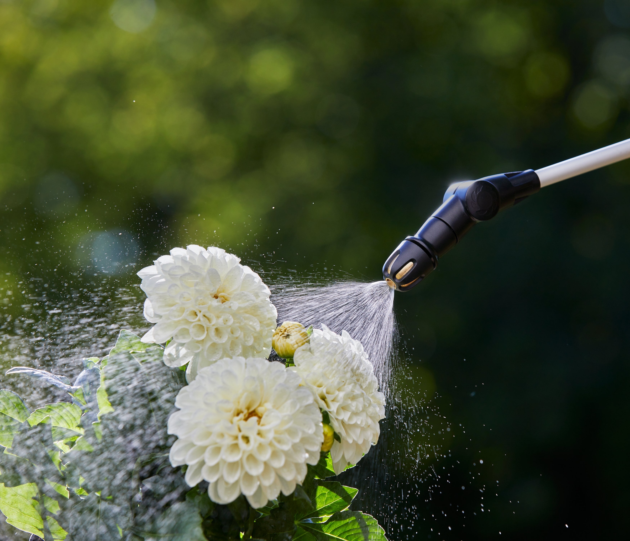 GARDENA Drucksprühgerät »EasyPump« Der akkubetriebene Drucksprüher für die komfortable Pflanzenpflege