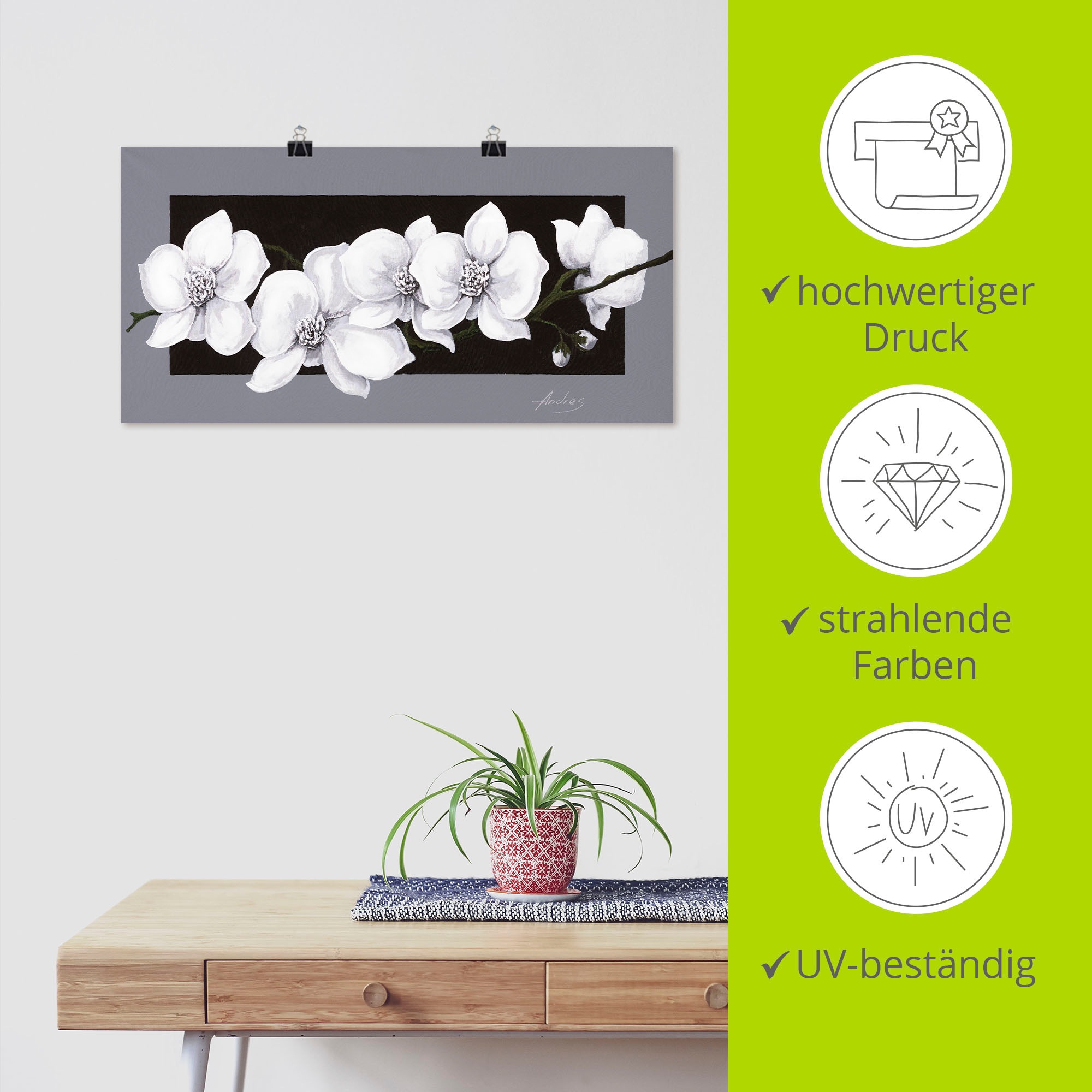 Artland Wandbild »Weiße Orchideen auf grau«, Blumen, (1 St.), als Alubild, Outdoorbild, Leinwandbild, Poster, Wandaufkleber