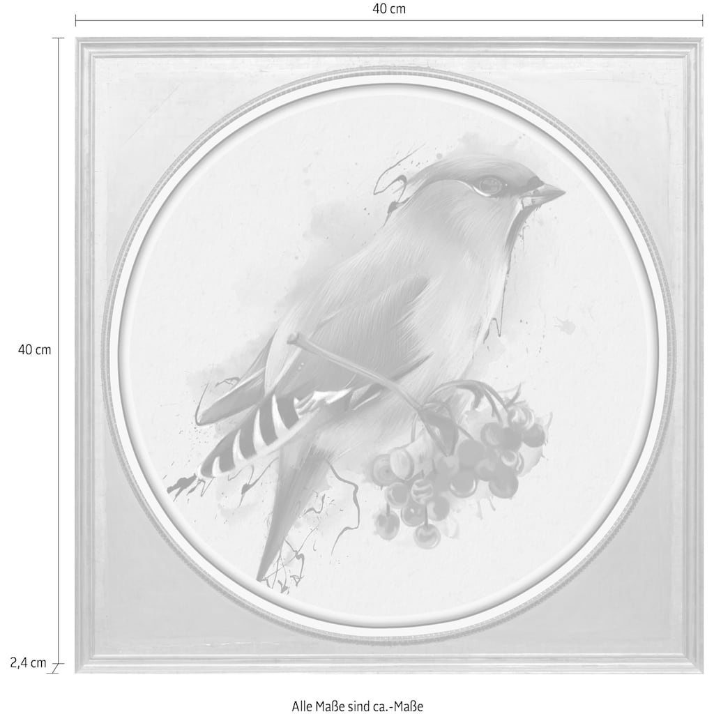 queence Acrylglasbild »Vogel«