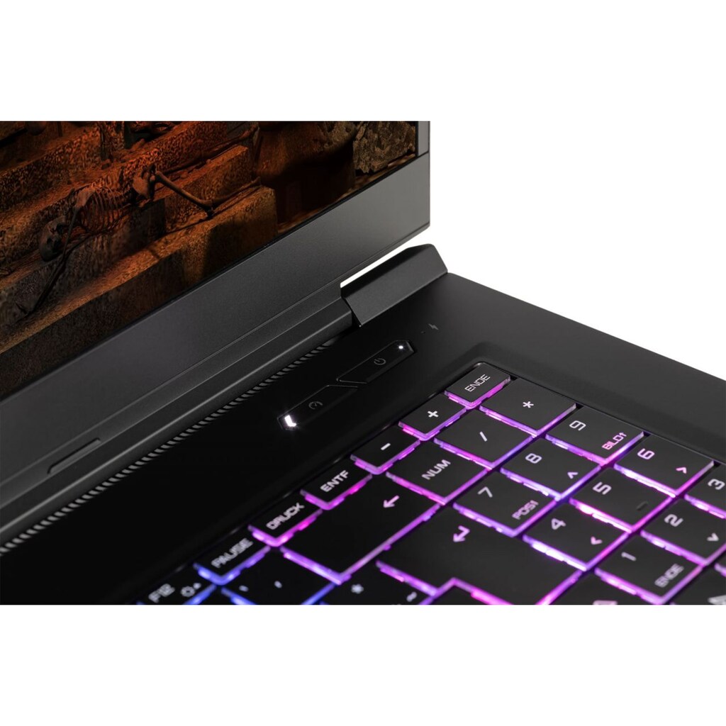 CAPTIVA Gaming-Notebook »Advanced Gaming I63-629«, 43,9 cm, / 17,3 Zoll, Intel, Core i7, GeForce RTX 3060, 1000 GB SSD