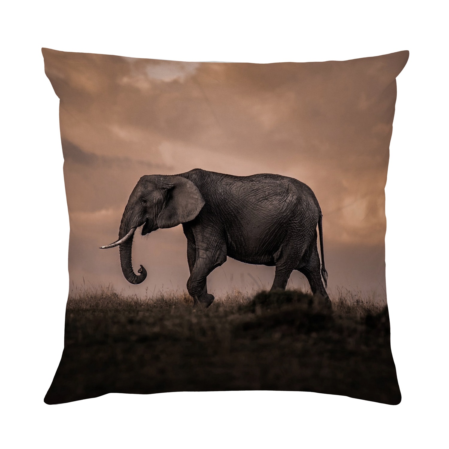 queence Dekokissen »Afrikanische Steppe«, Kissenhülle mit HD Premium Druck, geruchsneutral, 40x40cm