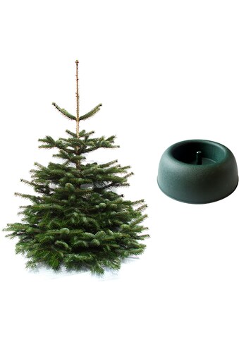 Weihnachtsbaumland Echter Weihnachtsbaum »Nordmanntanne inkl. Mini-Baumständer,... kaufen