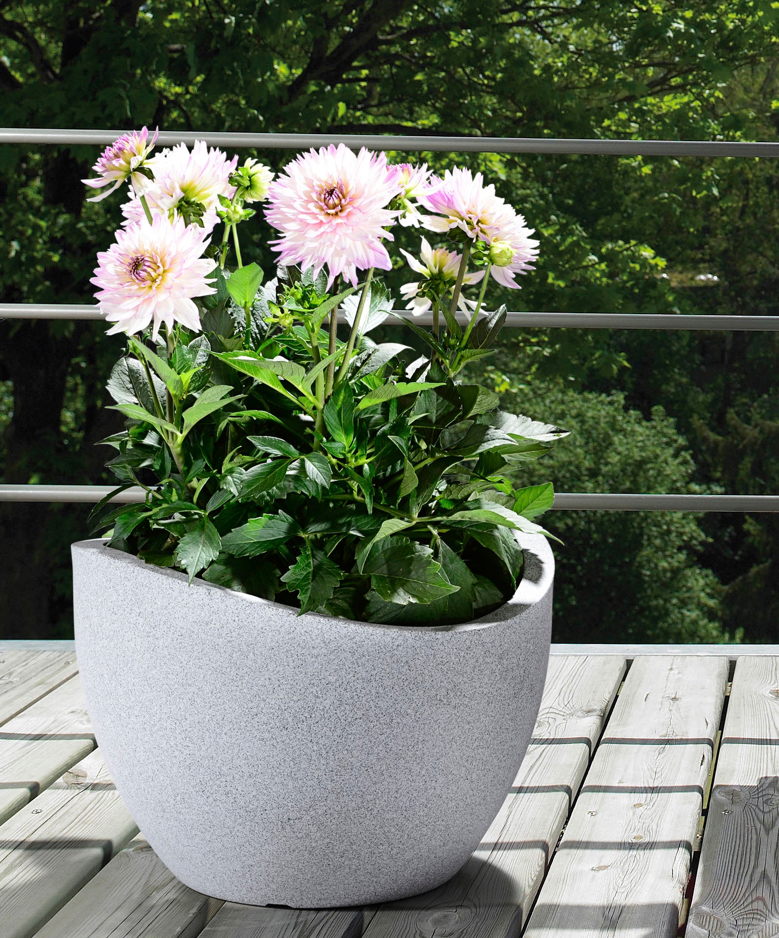 Scheurich Blumentopf »30/250«