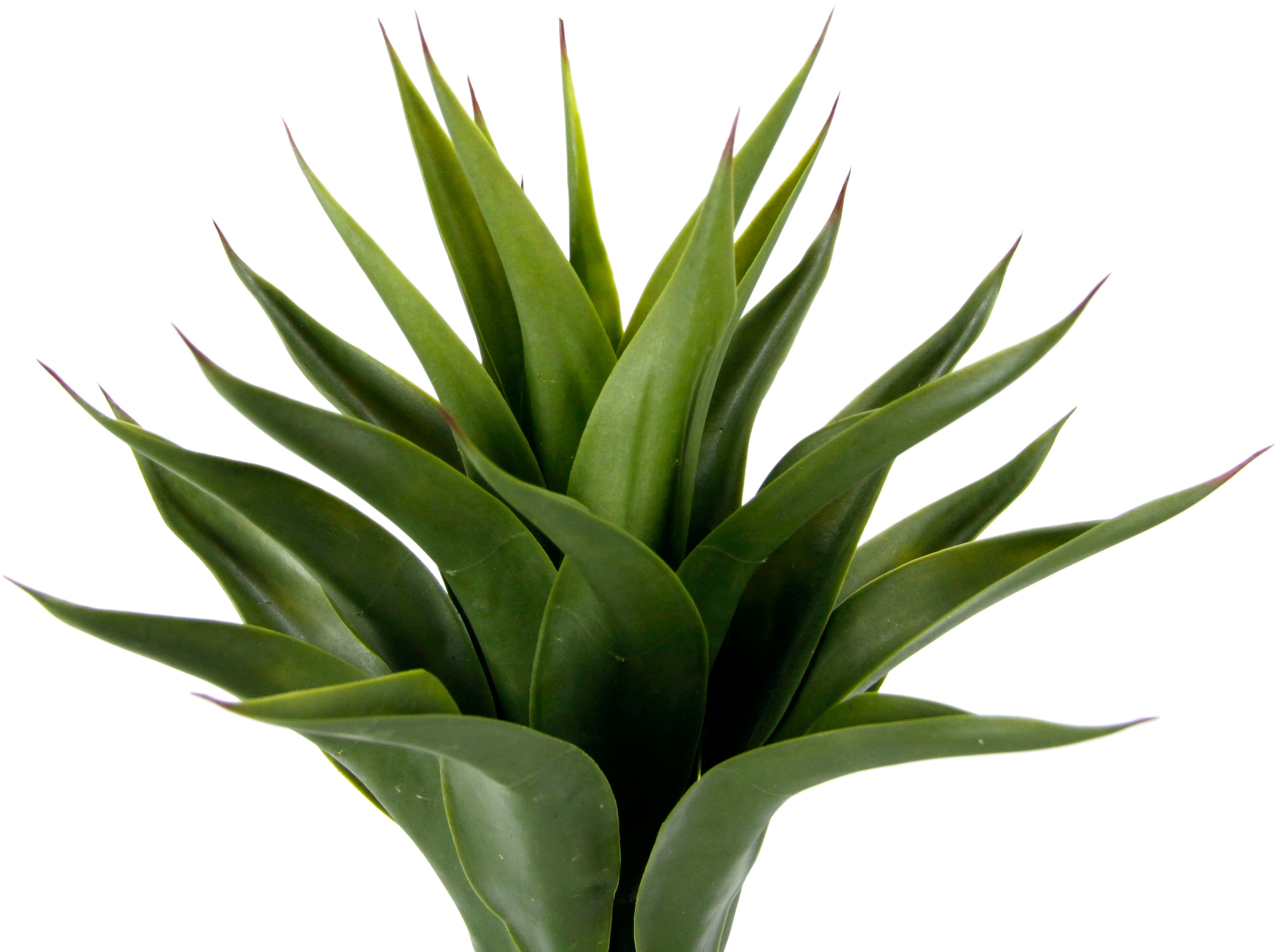 I.GE.A. Kunstpflanze »Künstliche Agave im Topf Pflanze Aloe Vera Sansevieria«, Grünpflanze Zimmerpflanze Palme