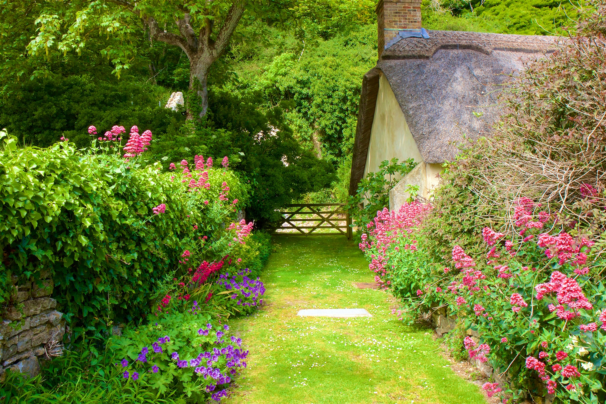 Papermoon Fototapete »GARTEN-BLUMEN BÄUME PFLANZEN STEINE WALD PERGOLA BLÜT günstig online kaufen