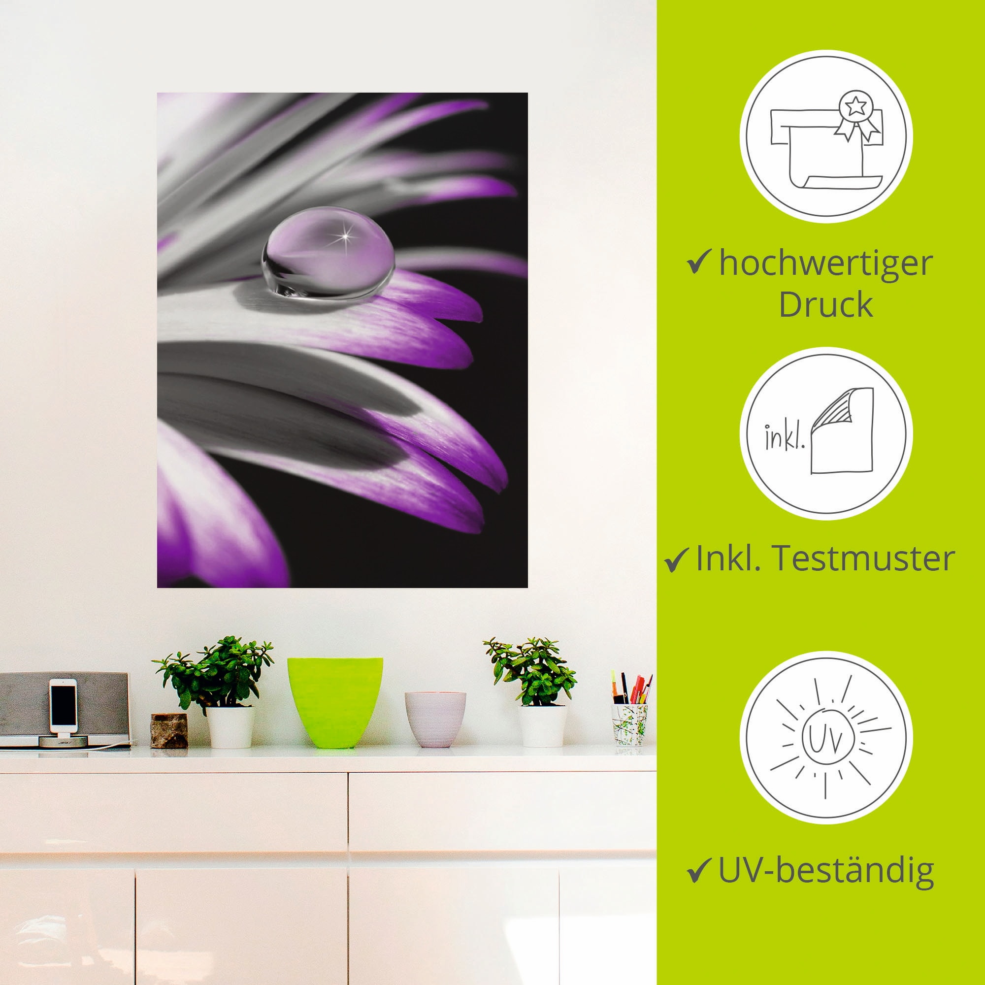 Artland Wandbild »Tropfen«, Blumen, (1 St.), als Leinwandbild, Poster, Wandaufkleber in verschied. Größen