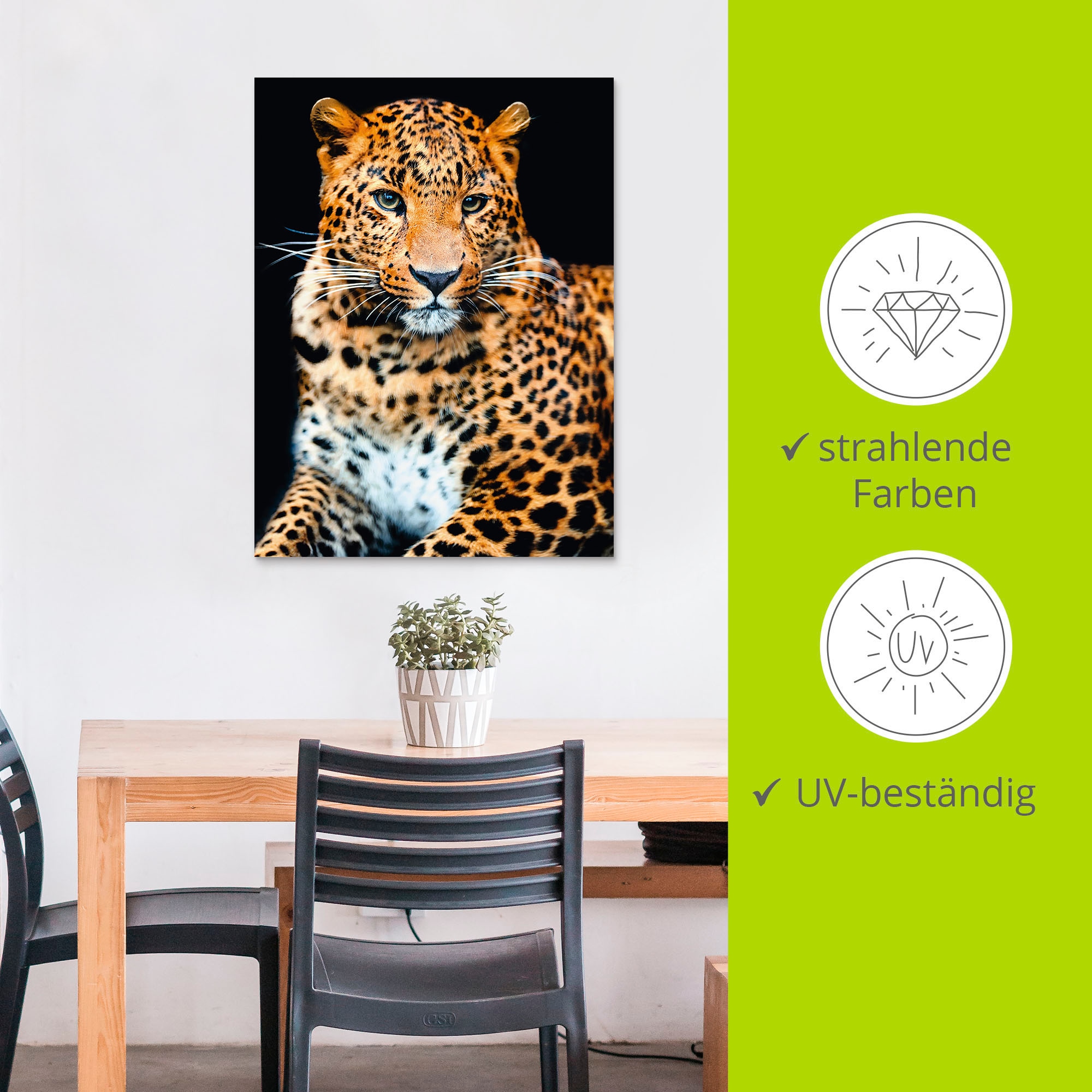 Artland Wandbild »Wütender wilder Leopard«, Wildtiere, (1 St.), als Alubild, Outdoorbild, Leinwandbild, Poster, Wandaufkleber