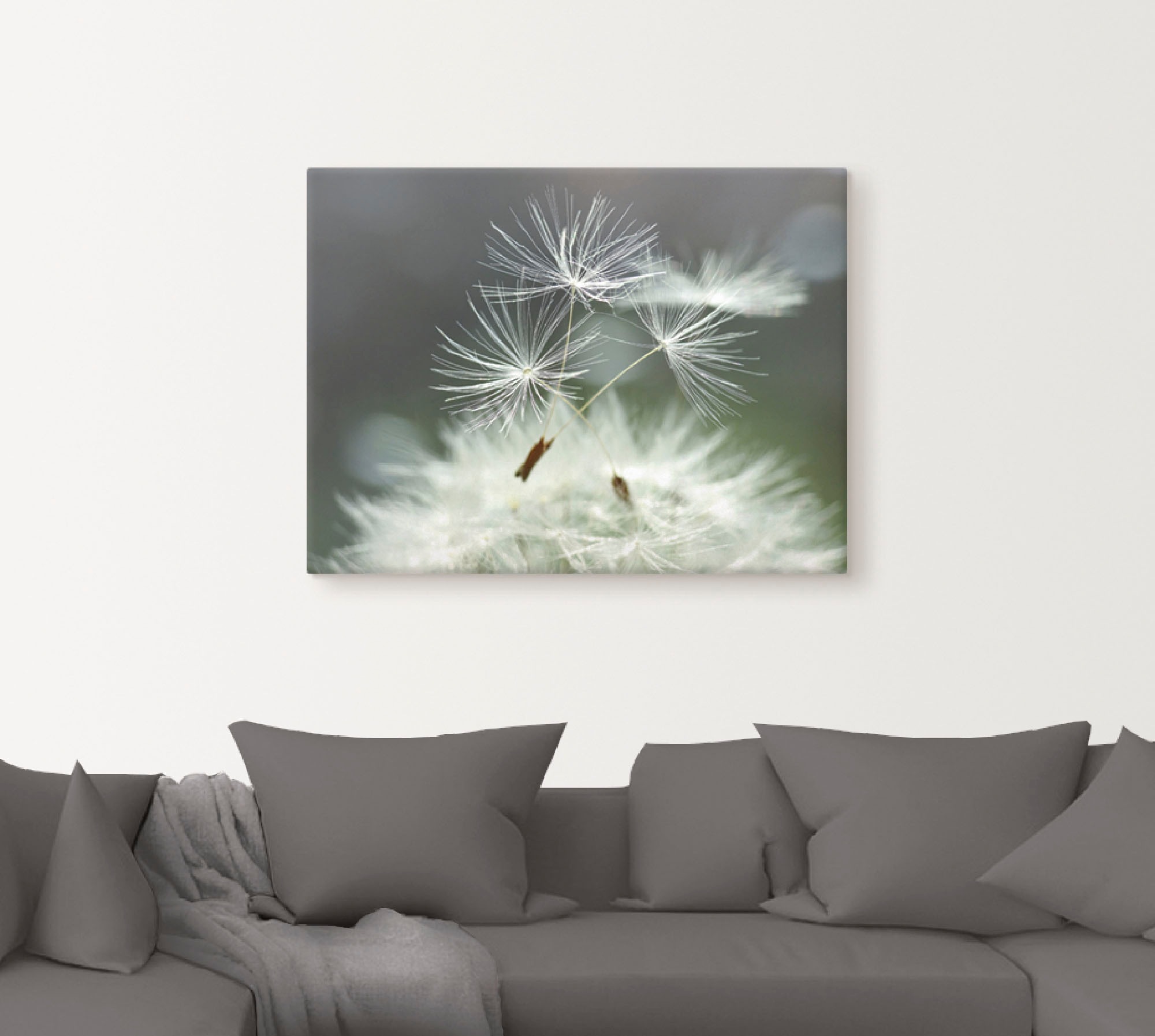 Artland Wandbild »Pusteblume Facility«, Blumen, (1 St.), als Alubild, Outdoorbild, Leinwandbild, Poster, Wandaufkleber