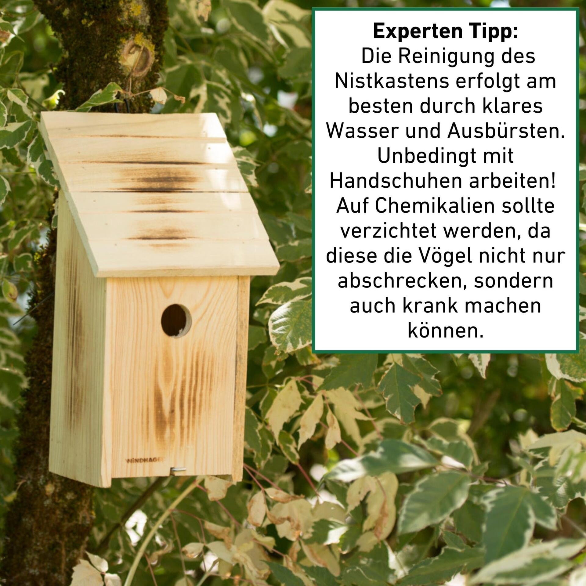 Windhager Nistkasten »aus massivem Pappelholz, sicherer Brutplatz für Vögel« Brutquartier einfach zu reinigen, inkl. Aufhängung
