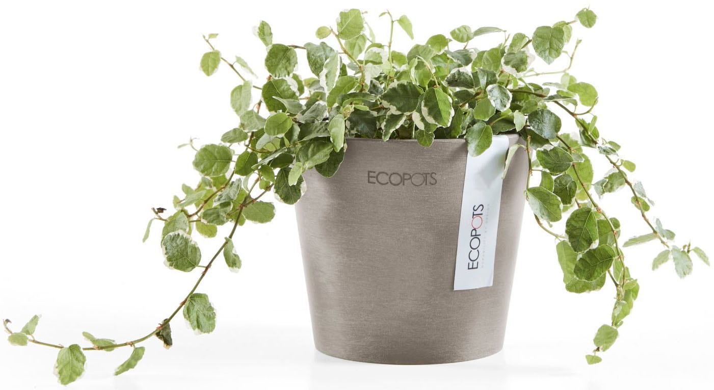 ECOPOTS Blumentopf »Amsterdam Mini 10,5 Taupe« für den Innenbereich