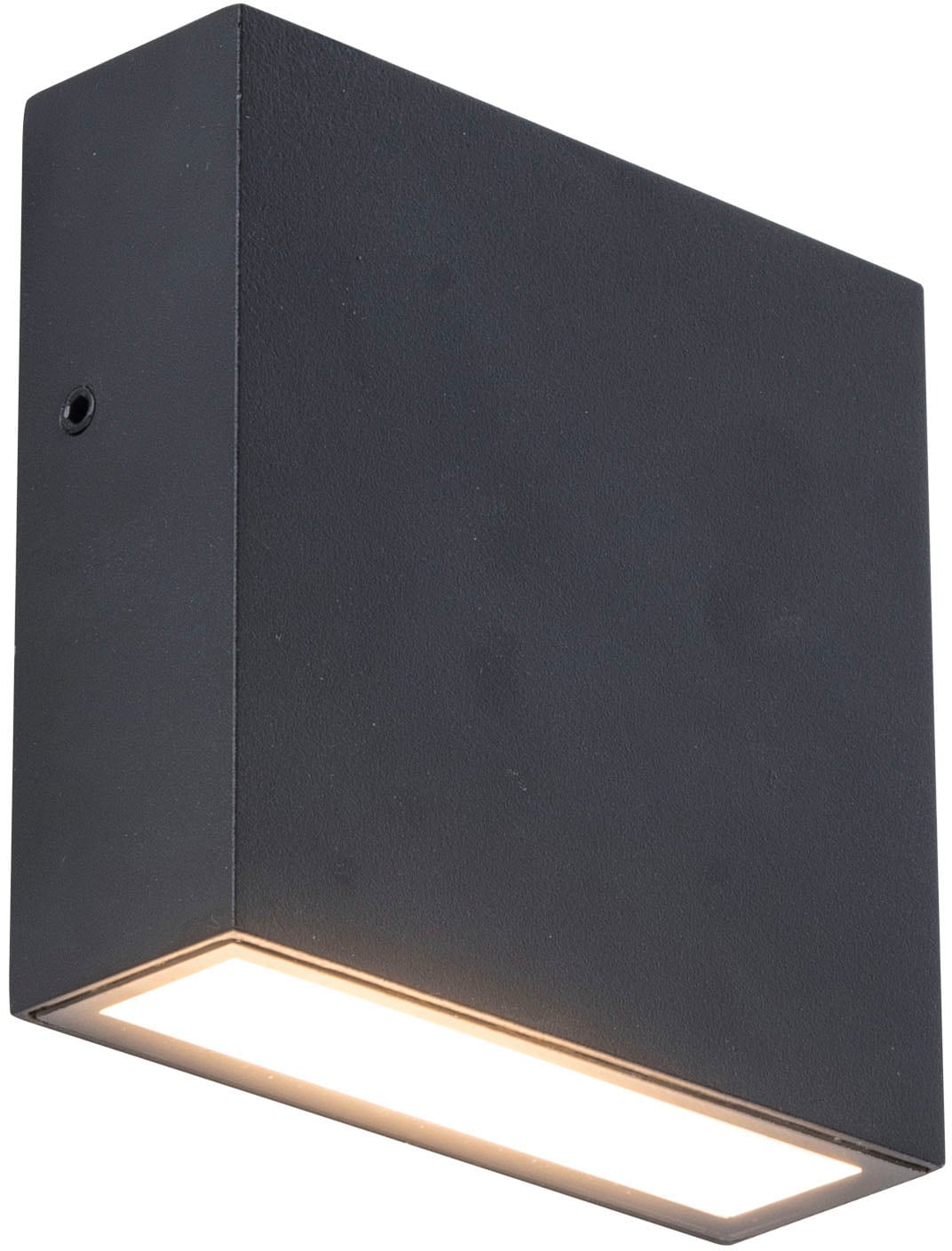 LUTEC LED Außen-Wandleuchte »GEMINI XF«, Leuchtmittel LED-Modul | LED fest integriert