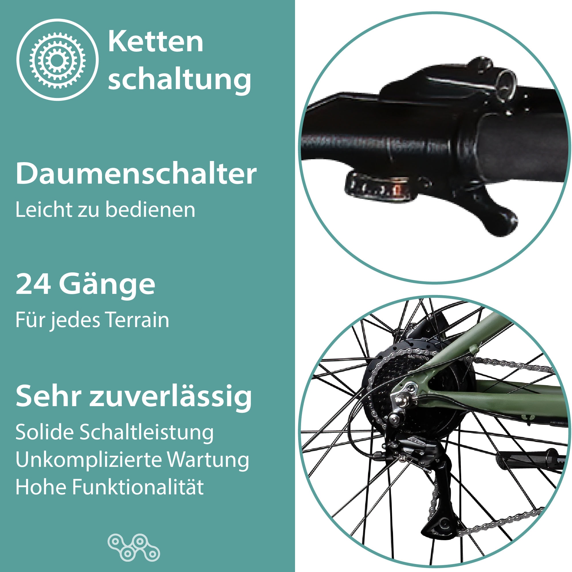 Tretwerk E-Bike »Commander Plus«, 24 Gang, Shimano, Altus M310, Heckmotor 250 W