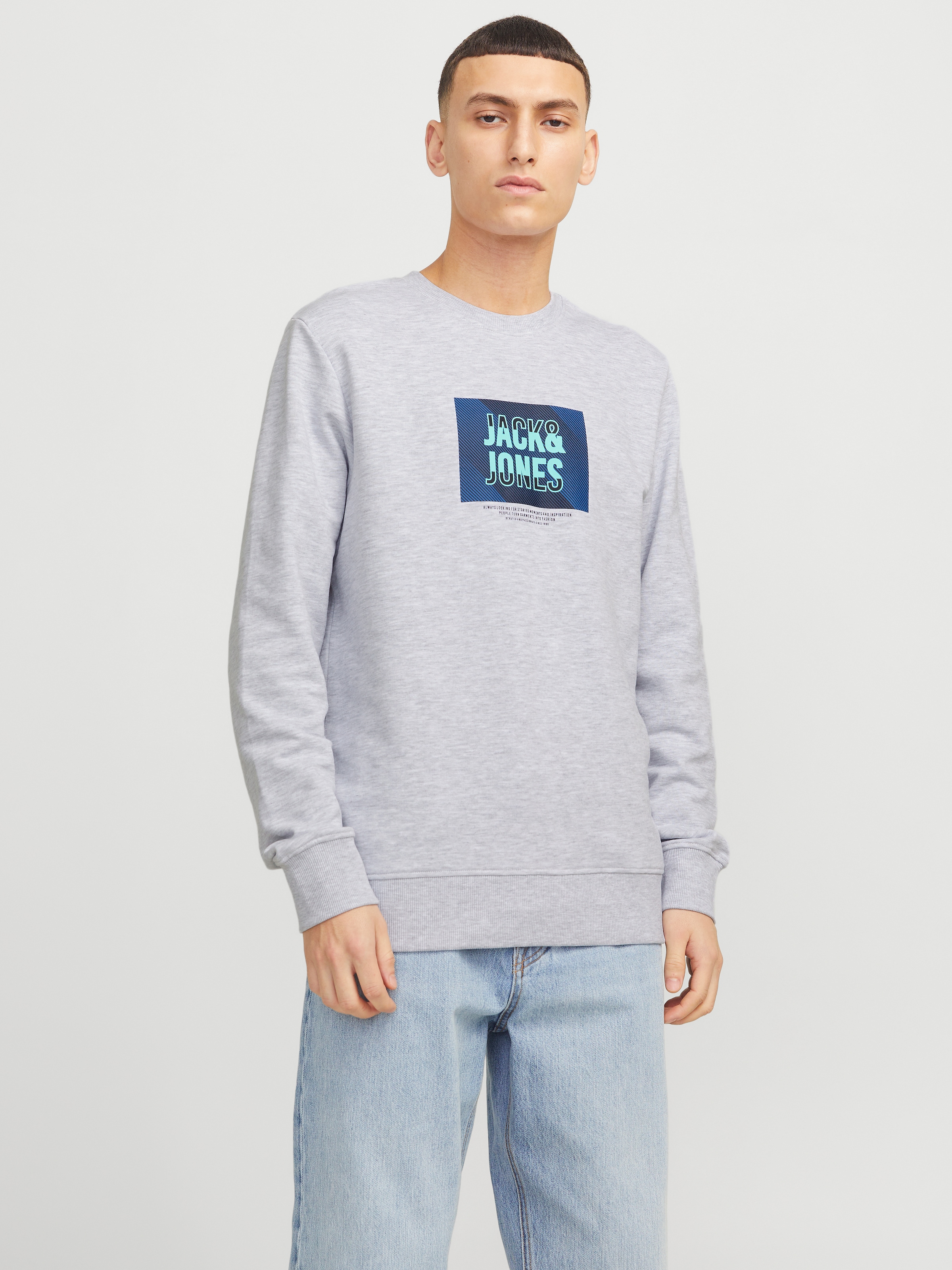 Jack & Jones Sweatshirt »JJHUDSON – Sweatshirt mit Print, Rundhals und Kapuze«, Print, modisch, regular fit, angeraute Sweatware, Rundhals
